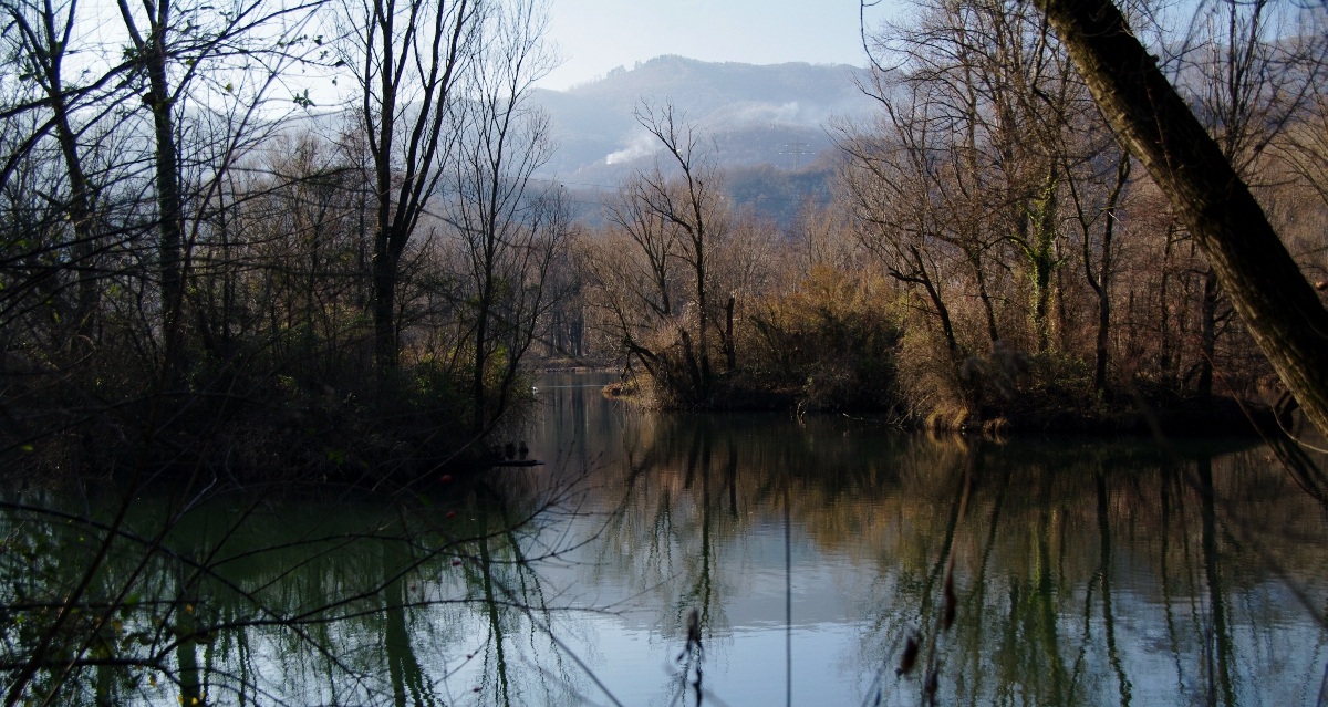 Along the Marsh Brivio (LC)