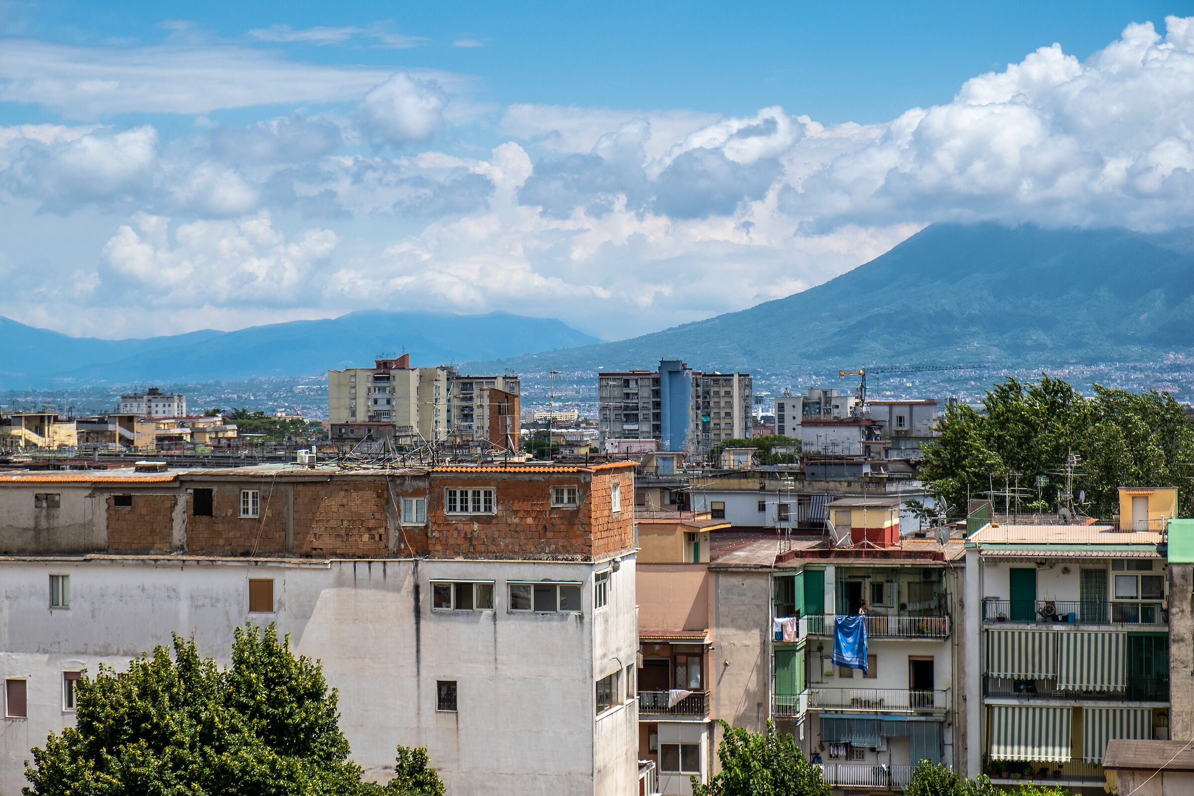 Napul is a thousand culur