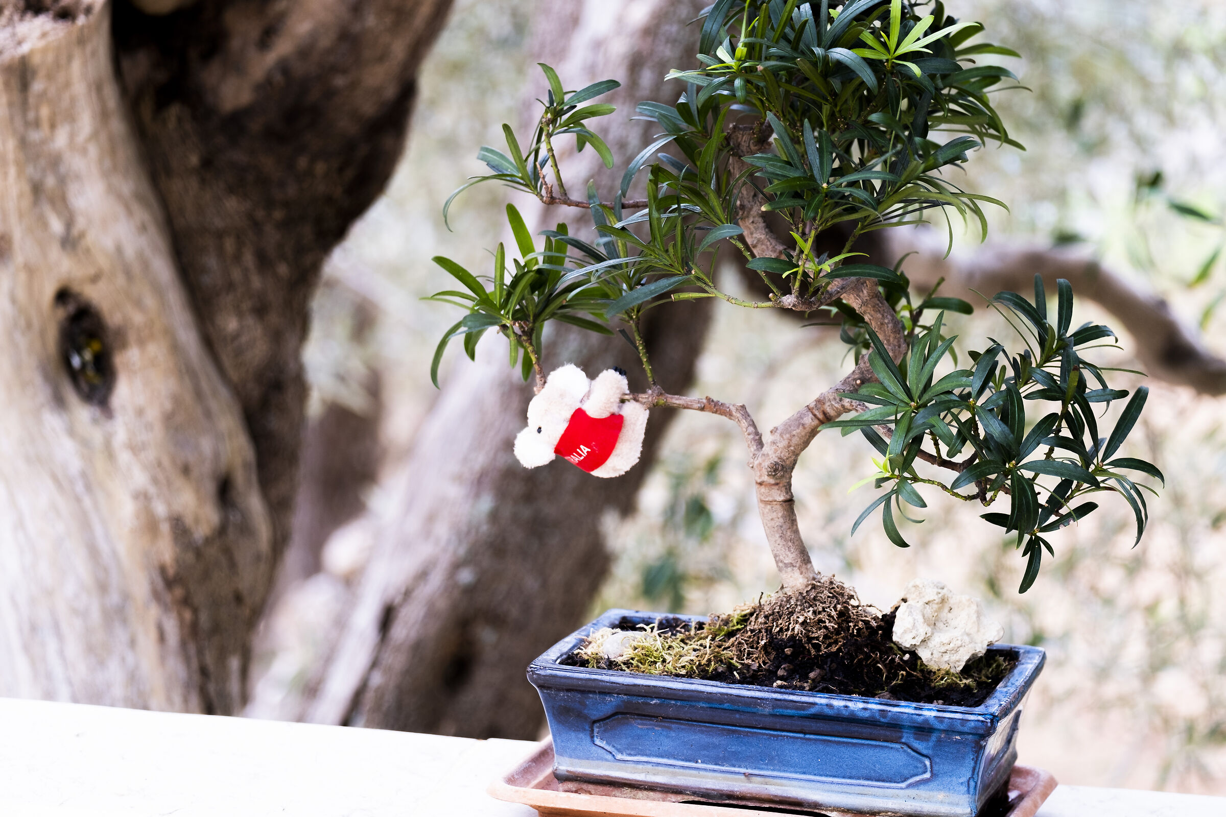 intergalactic animals