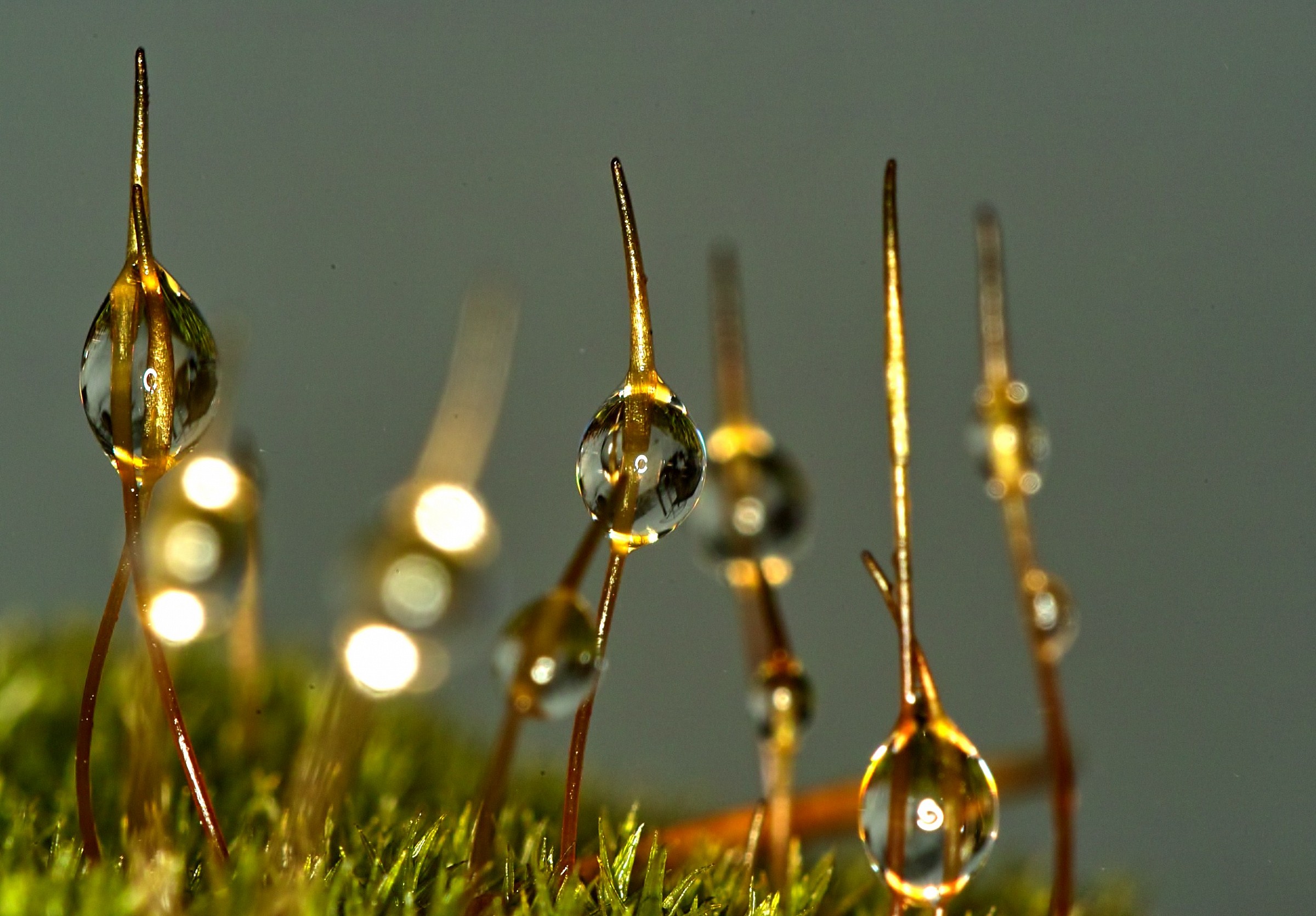 Flashes of end of the year!