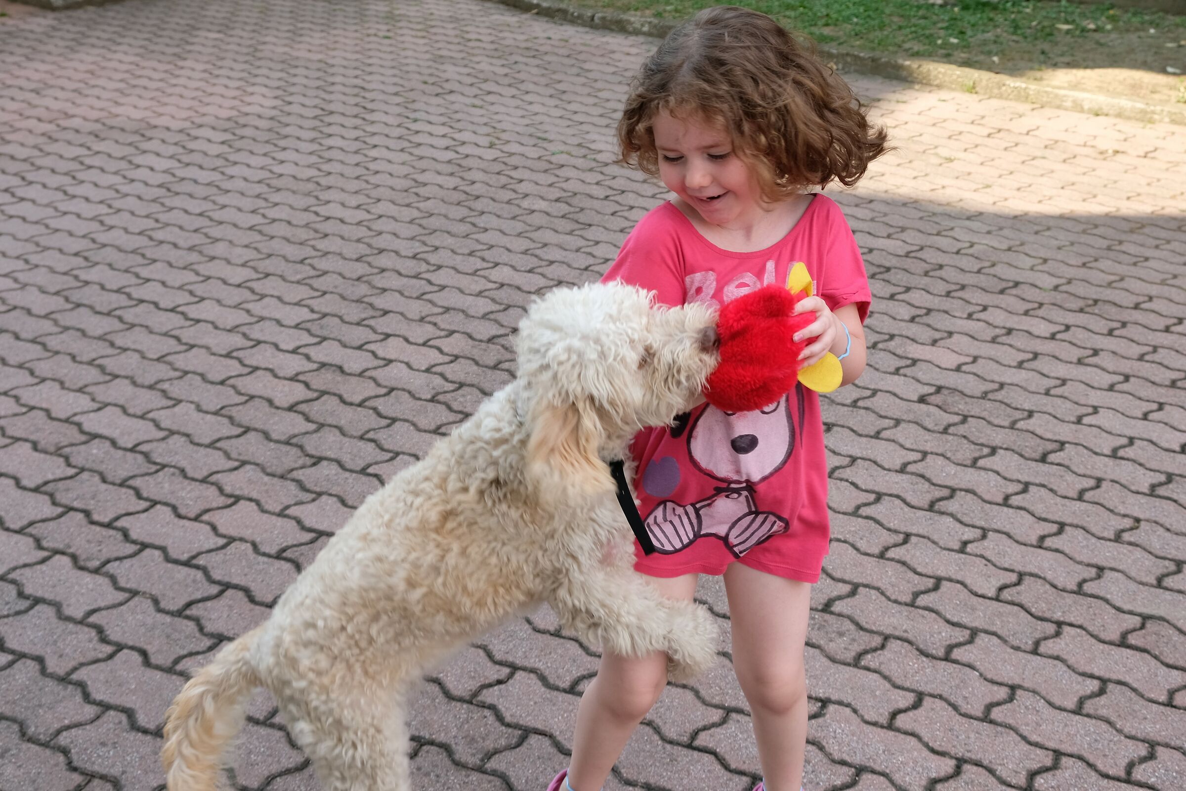 the beast on the attack