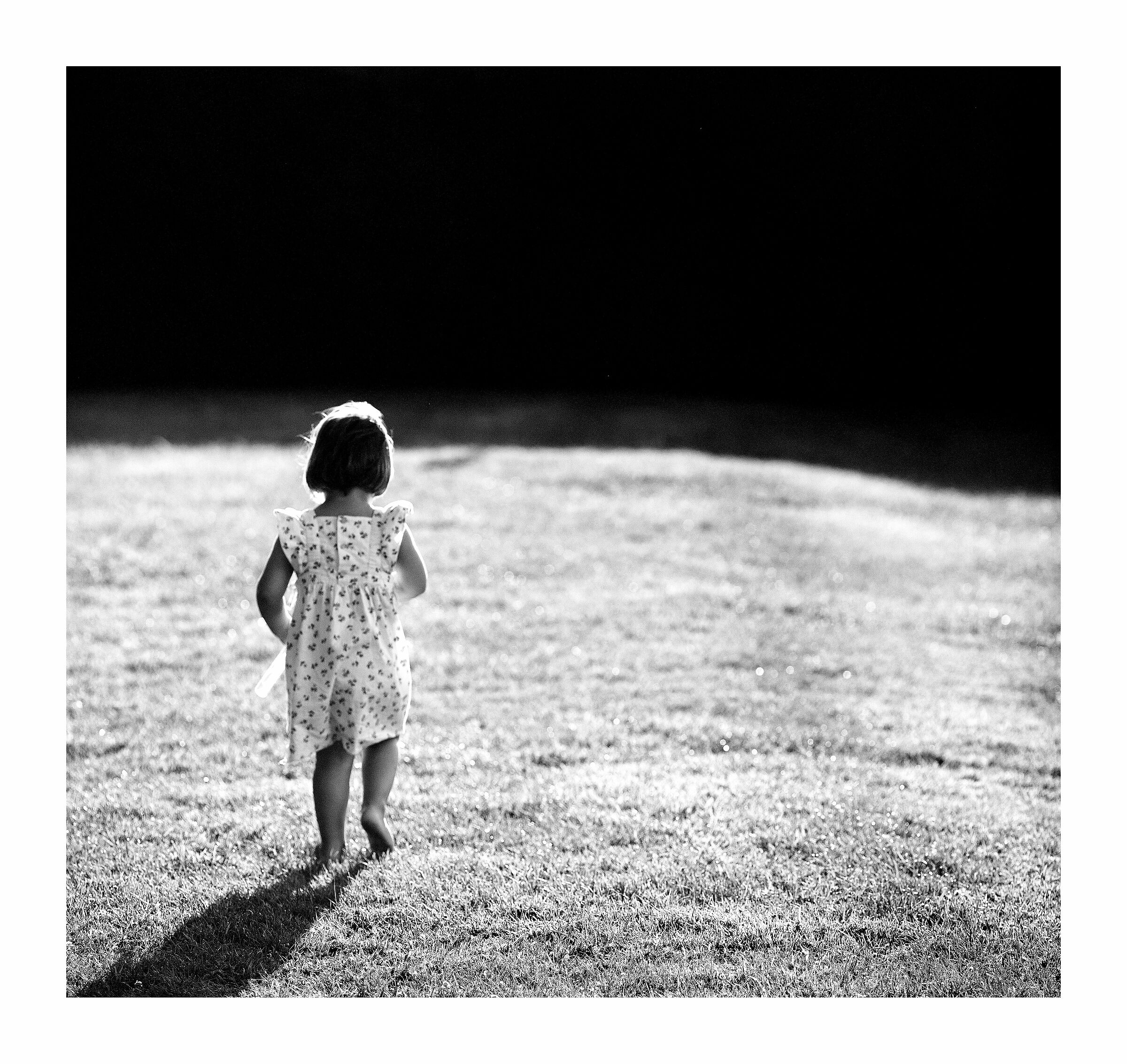 Looking for a better world