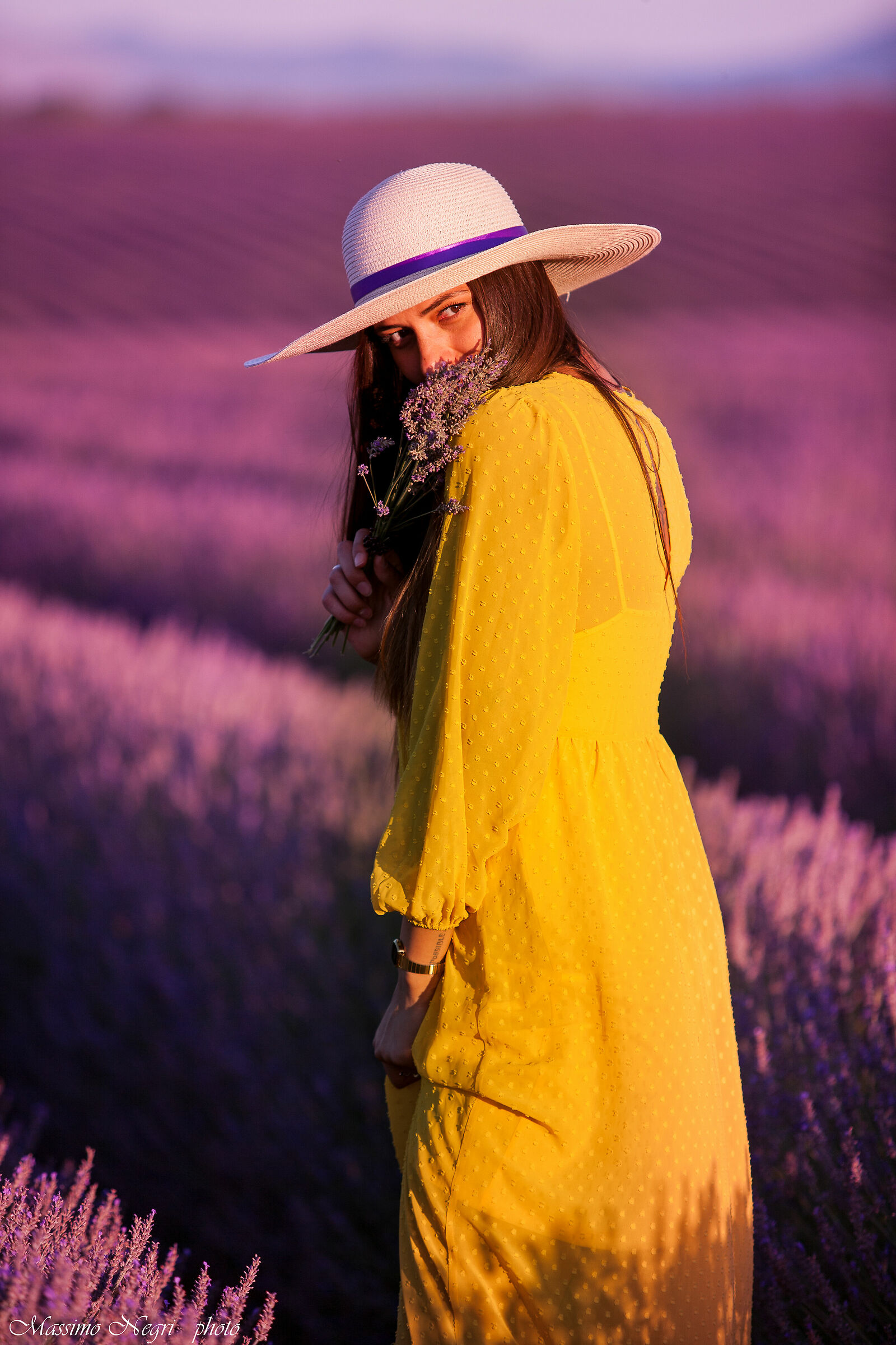 lavender fields