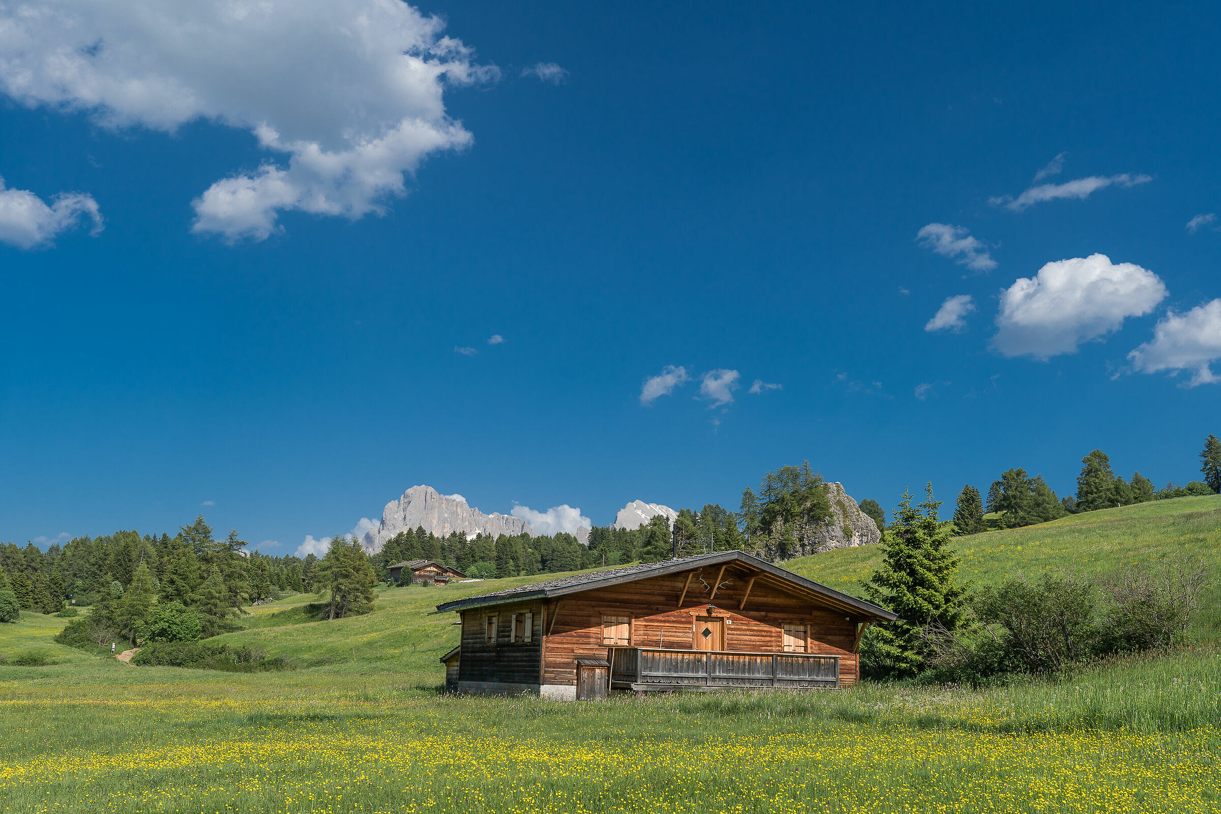 Alpe di Siusi