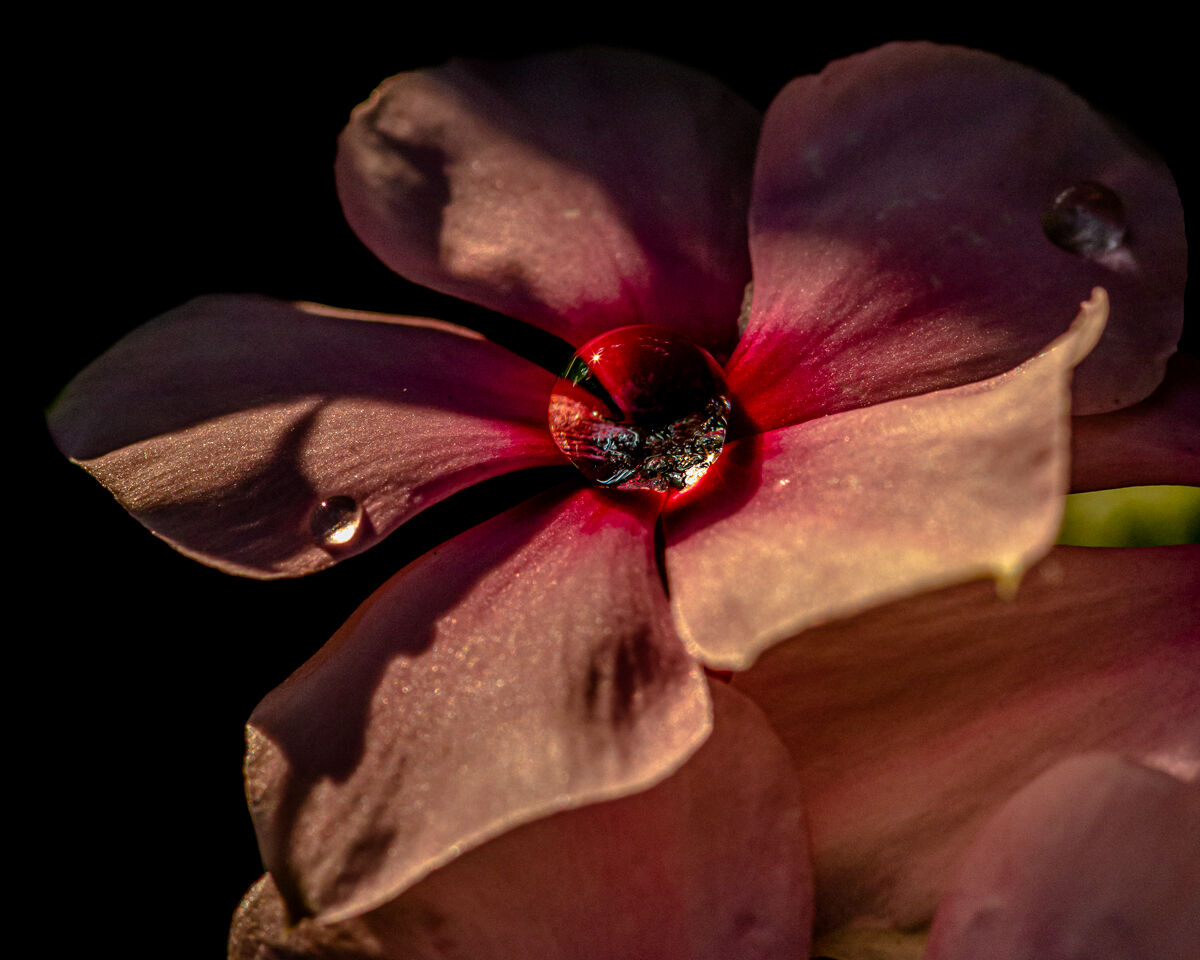 Structure and superstructure