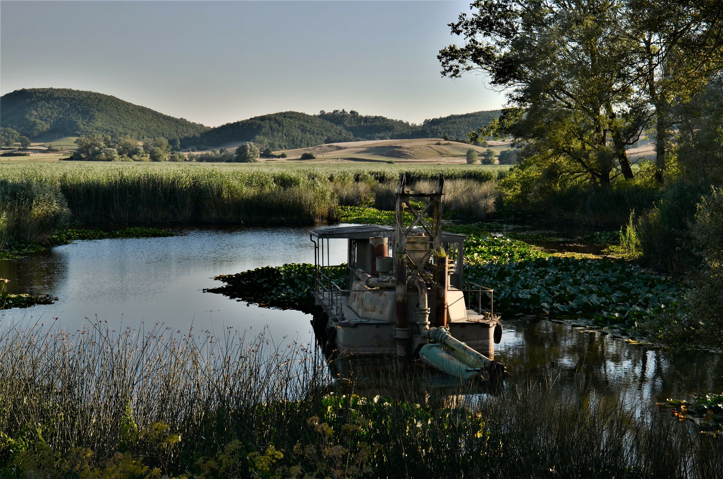 Oasi di Colfiorito, la palude