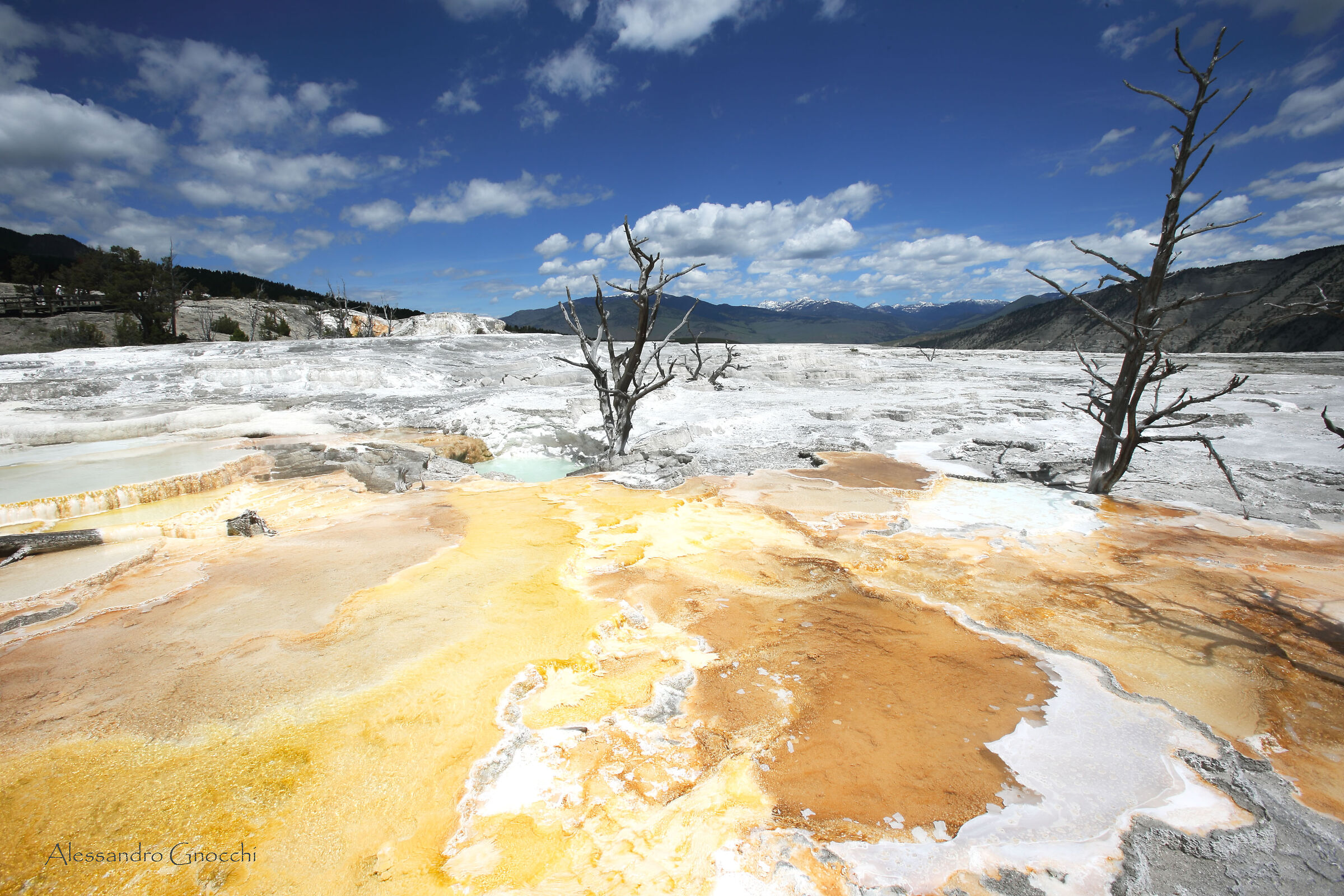 Mammoth Hot Spring 4