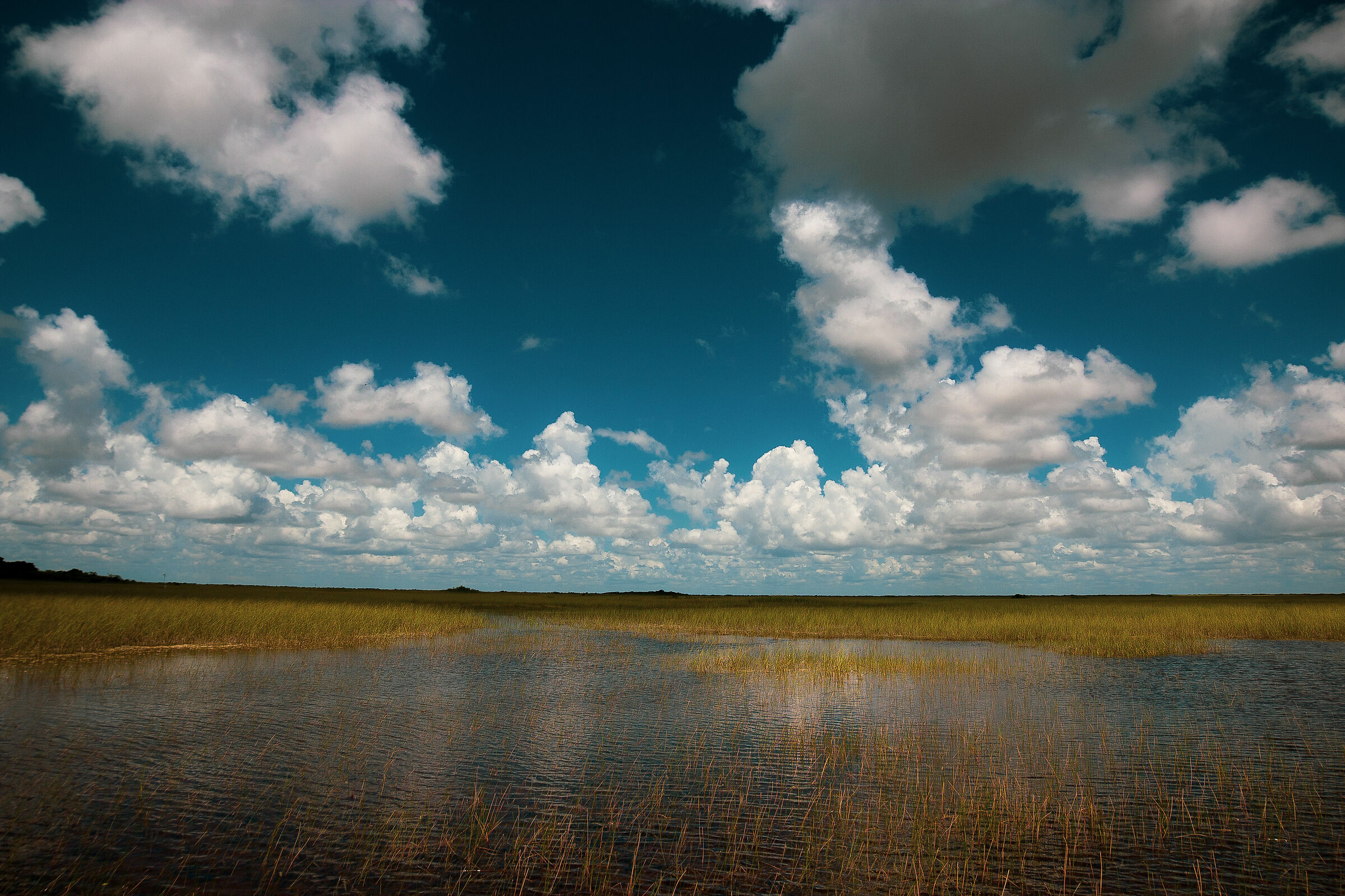 Everglades Park Florida