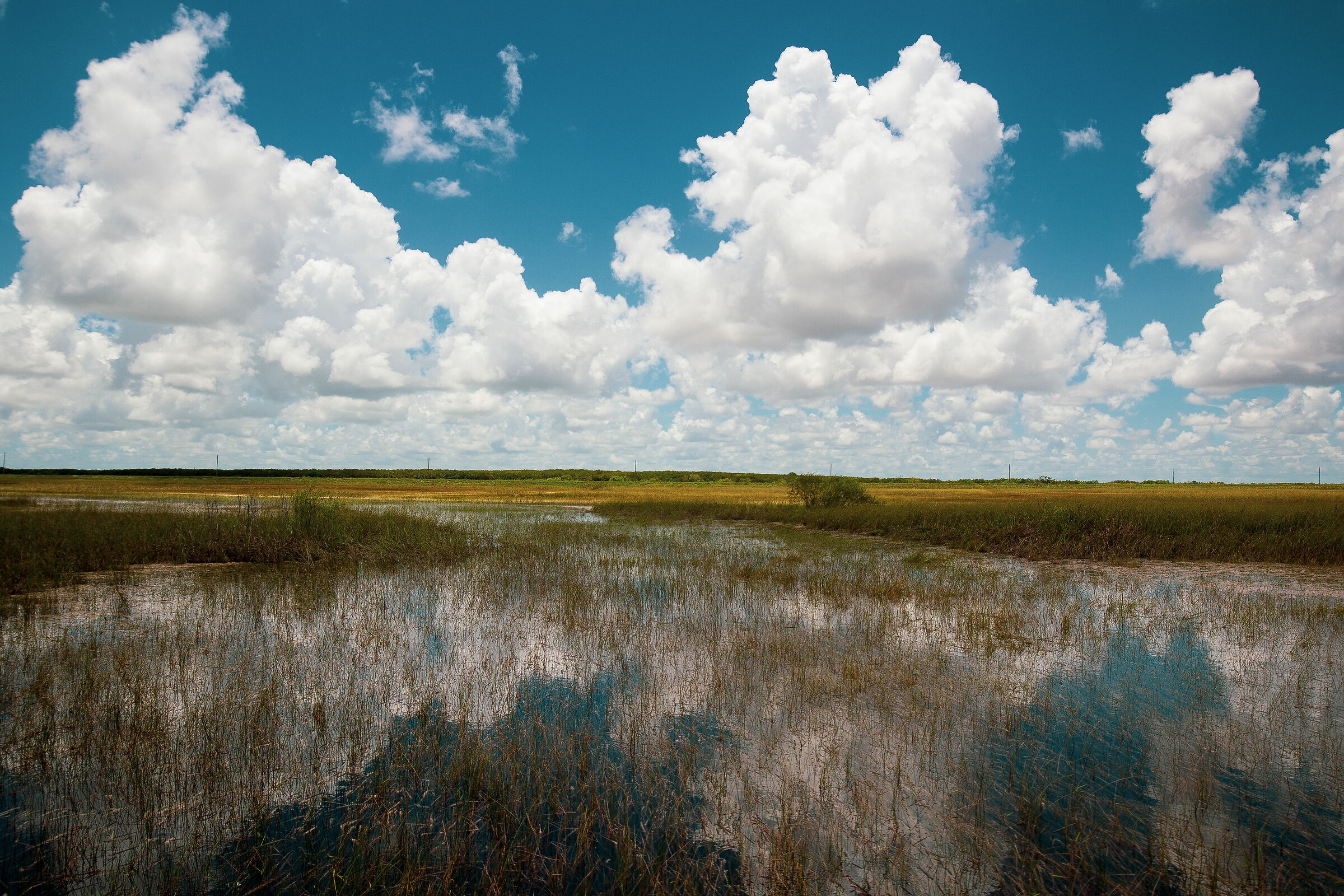 Everglades Park Florida