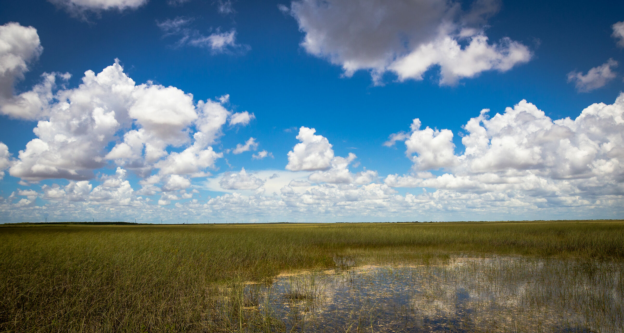 Everglades Park Florida