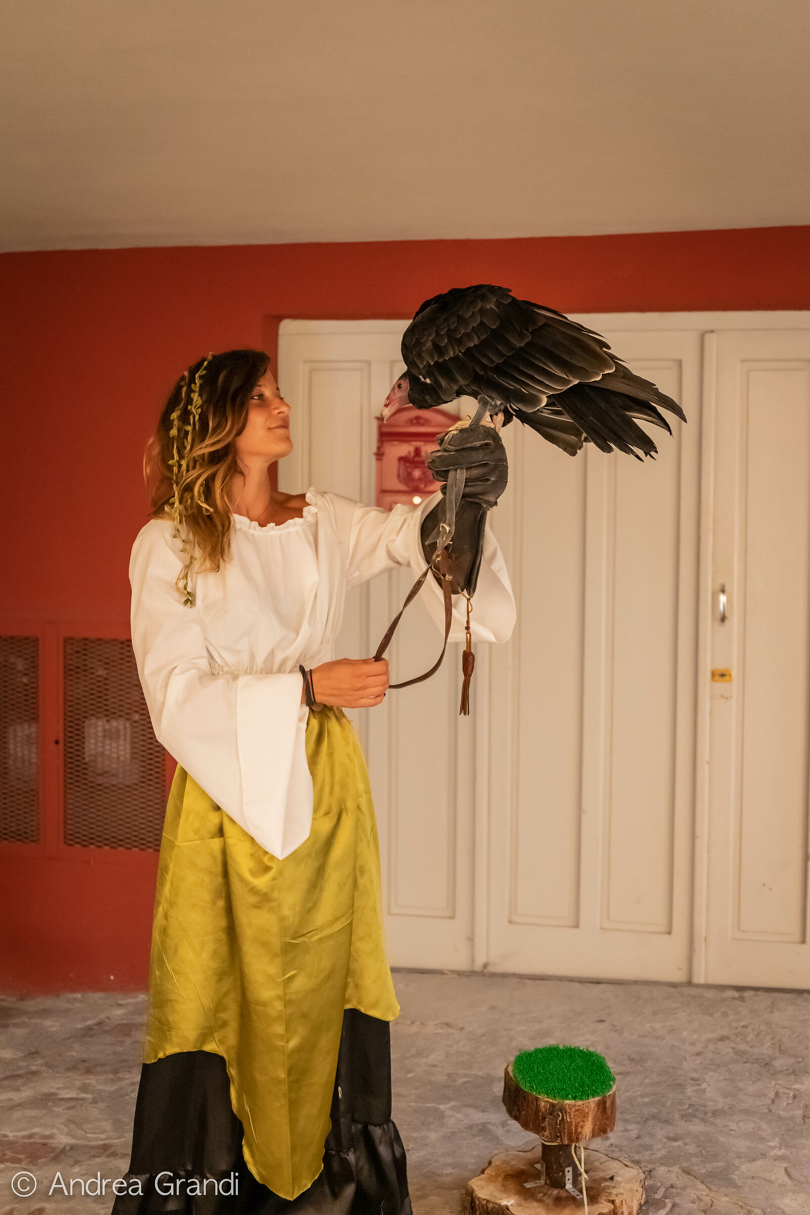 Medieval Festival in Varzi: Trained Birds