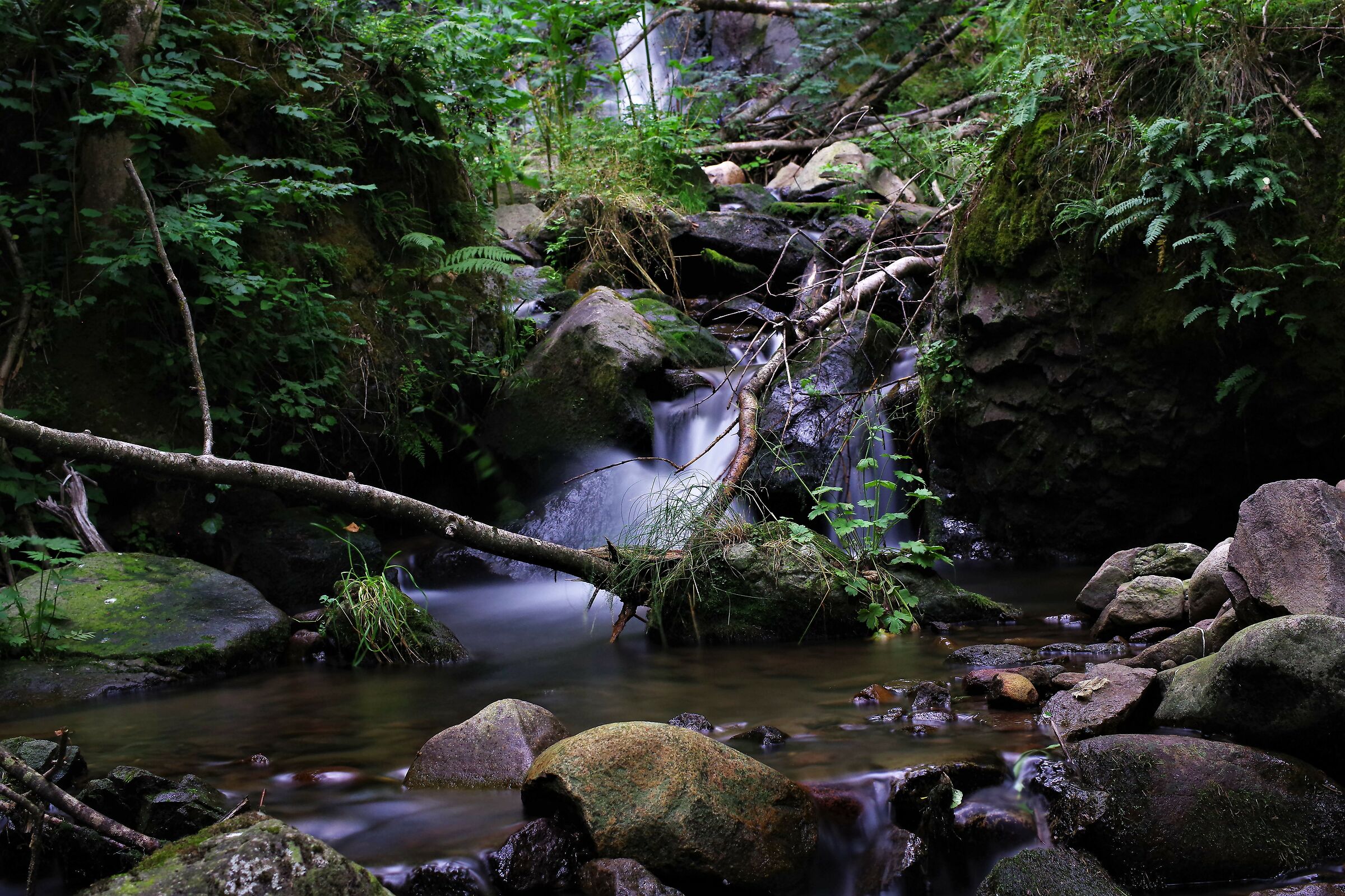 cascate del rio negro - trentino