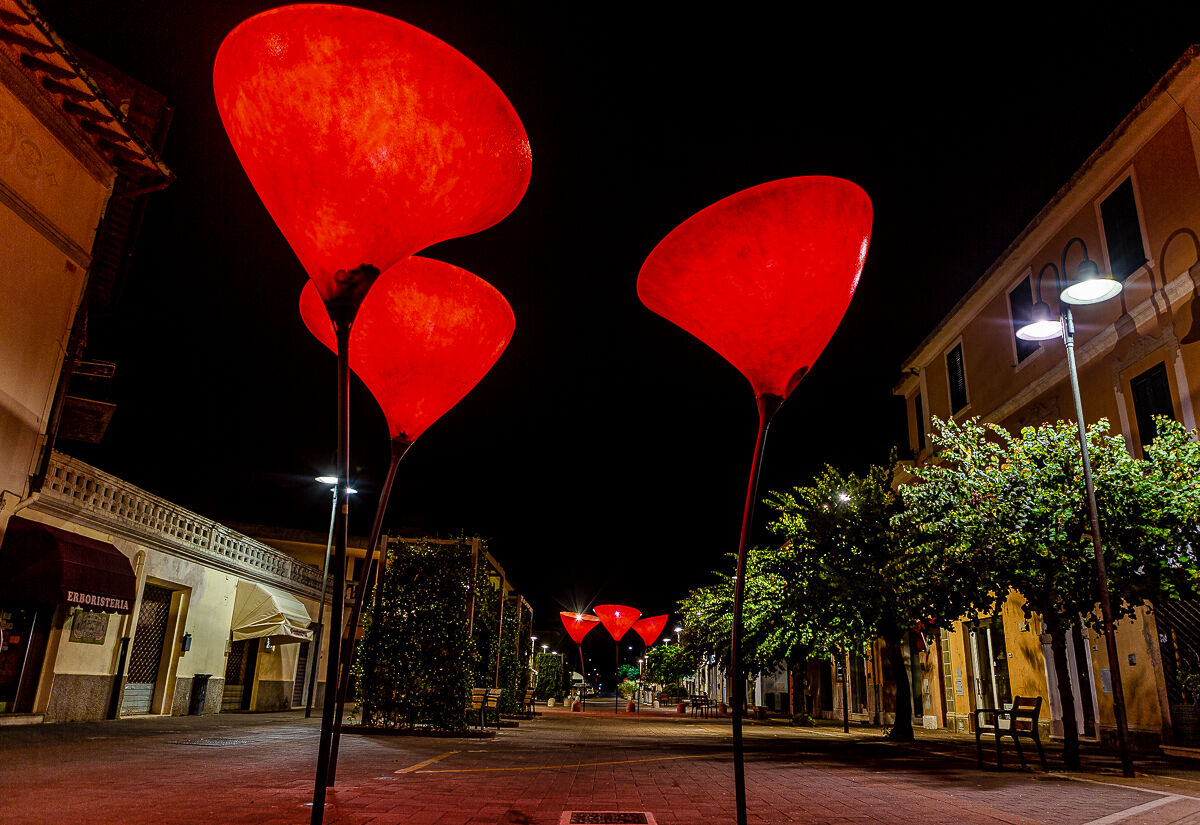Gli "ipnotici" papaveri di Venturina terme