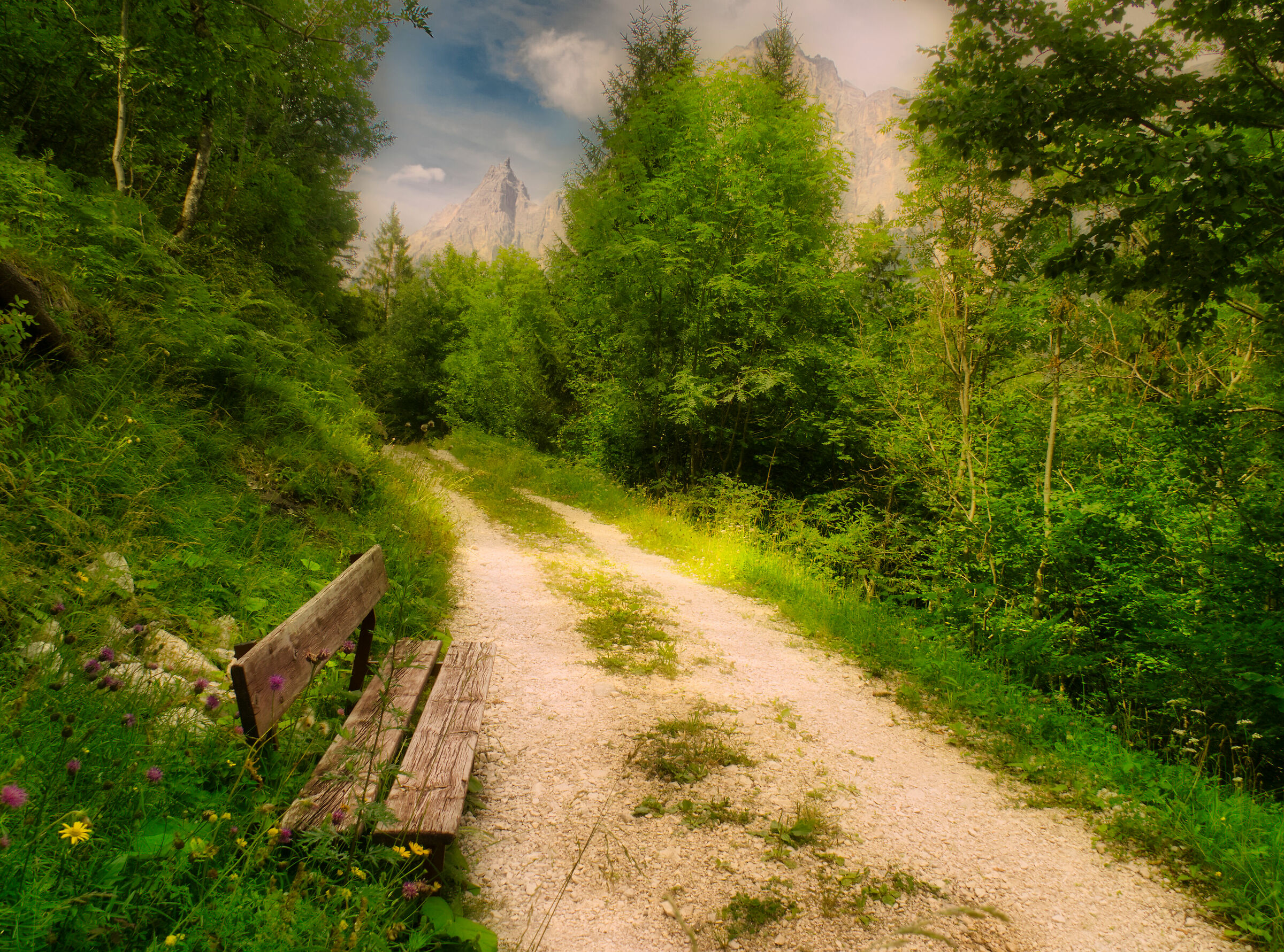 Walking in the woods
