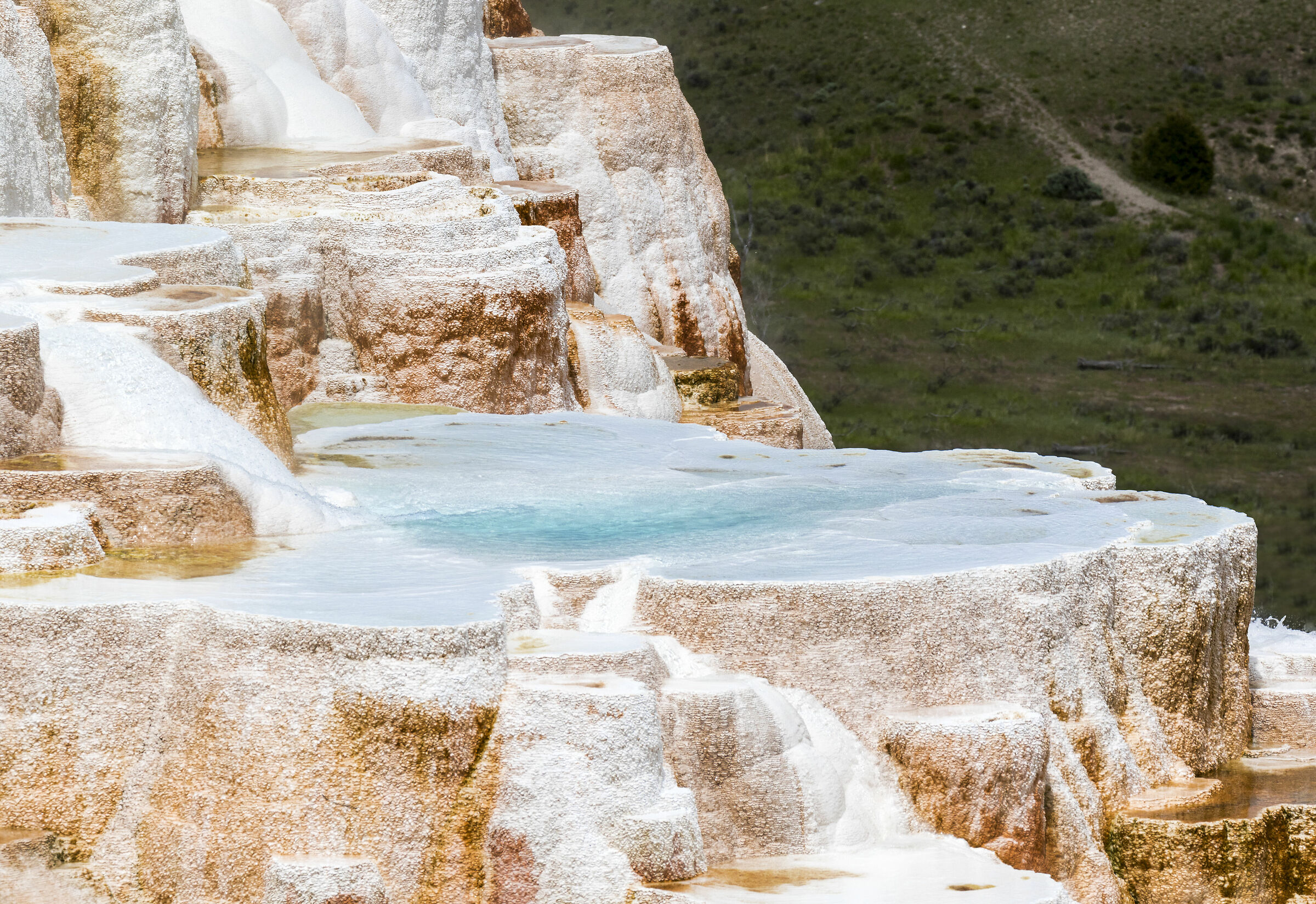 Mammoth Hot Spring, Yellowstone NP
