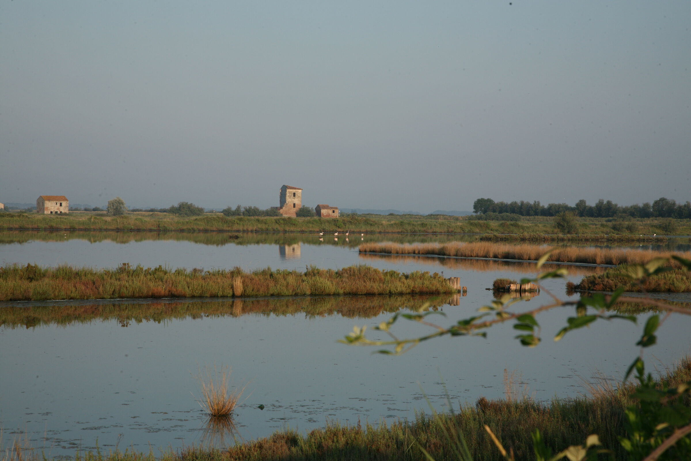 Trip to Comacchio