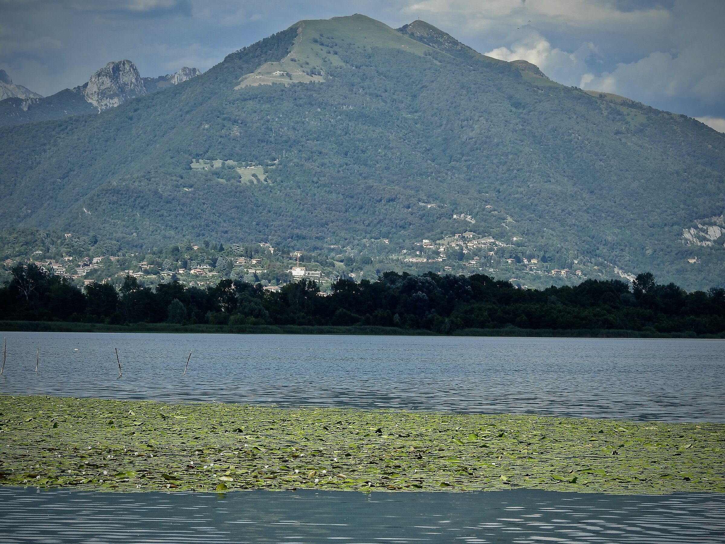 Mount Cornizzolo from Lake Alserio (Como)