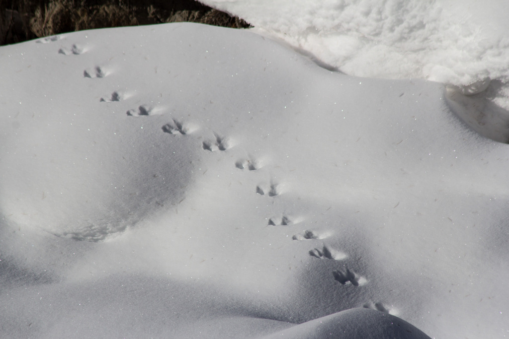 This way it's been a ...