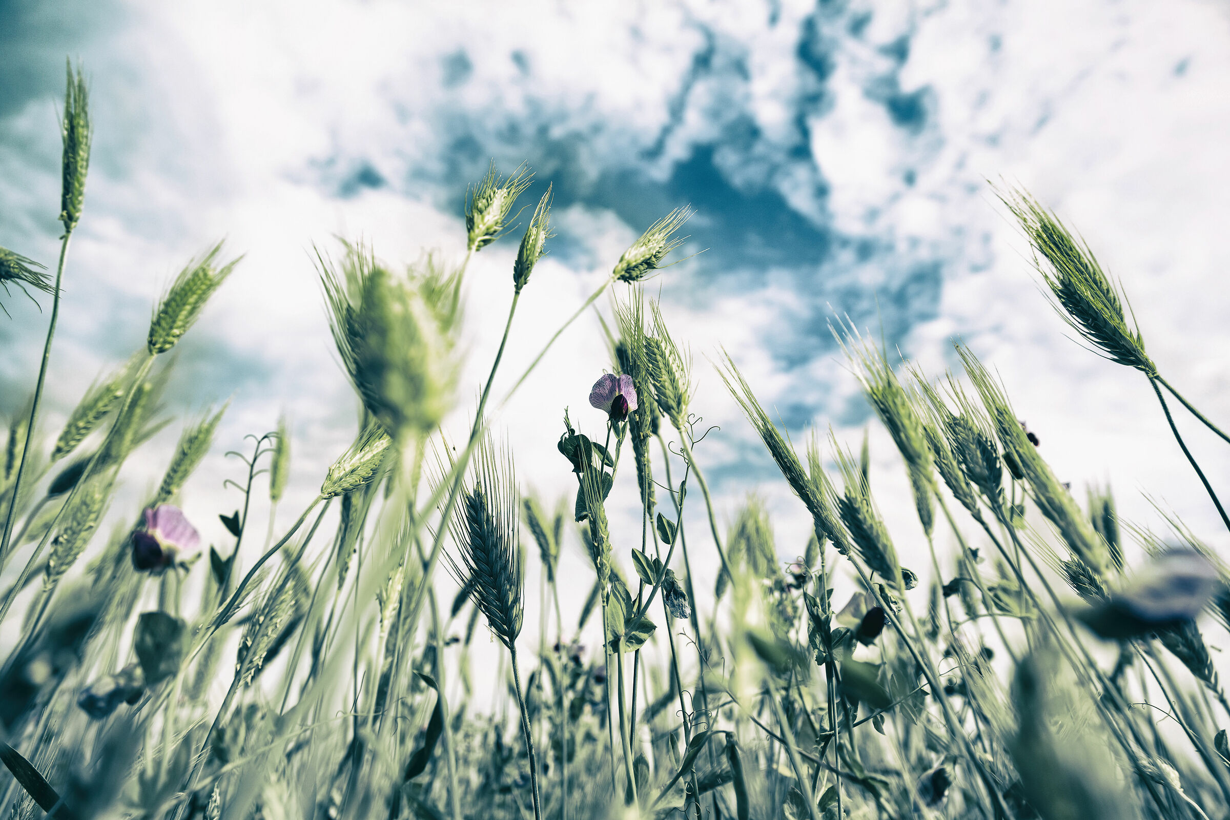 Look at the blue sky