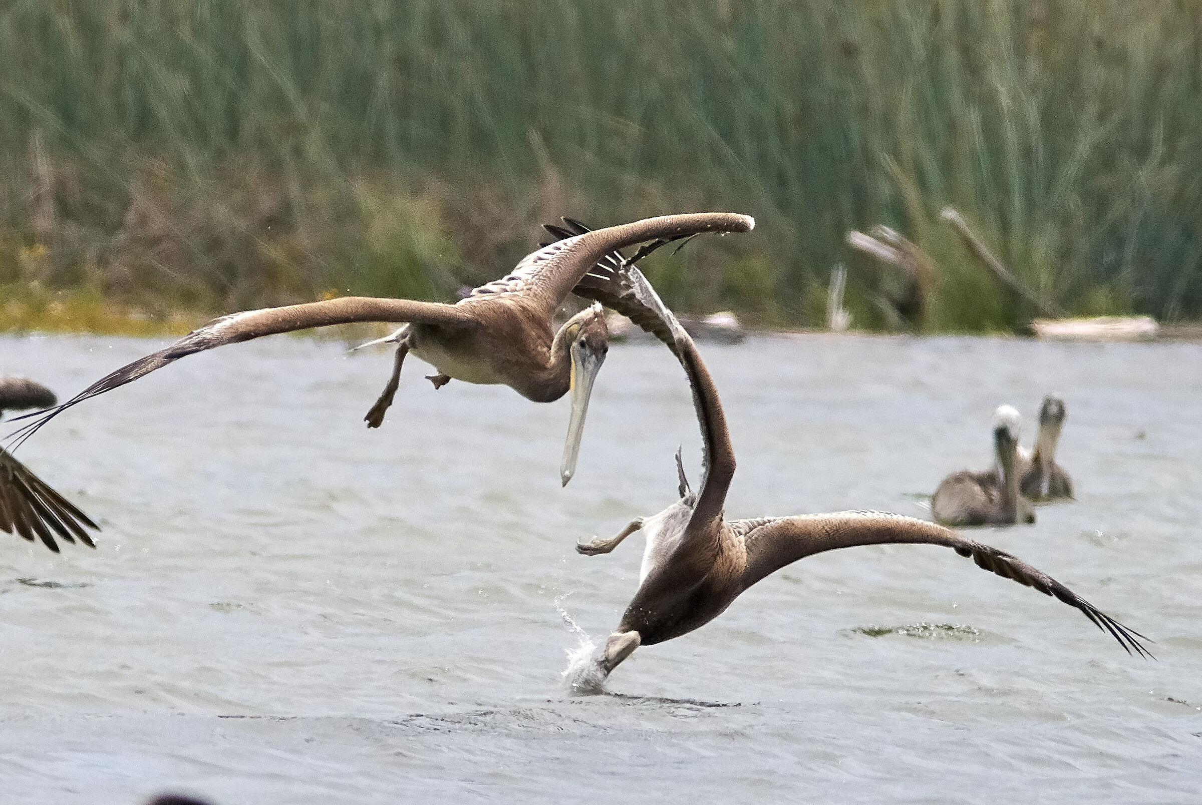 o those youngsters...