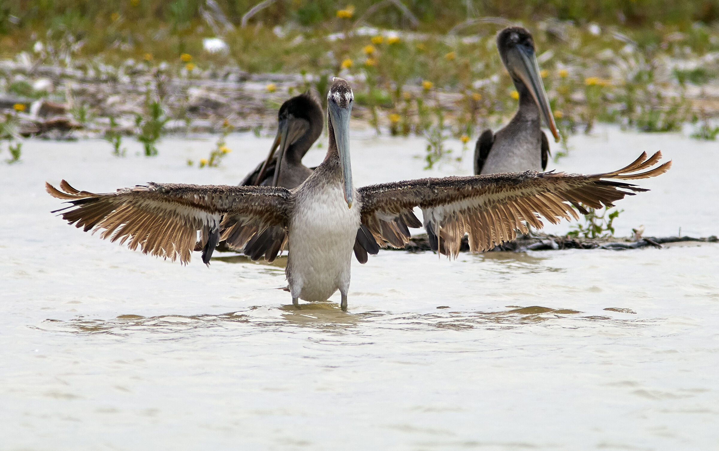 Yes, this gear is not brand new...