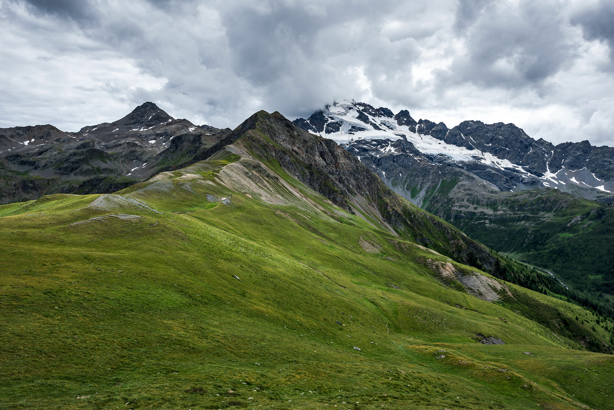 Ghiacciaio della Cima Piazzi