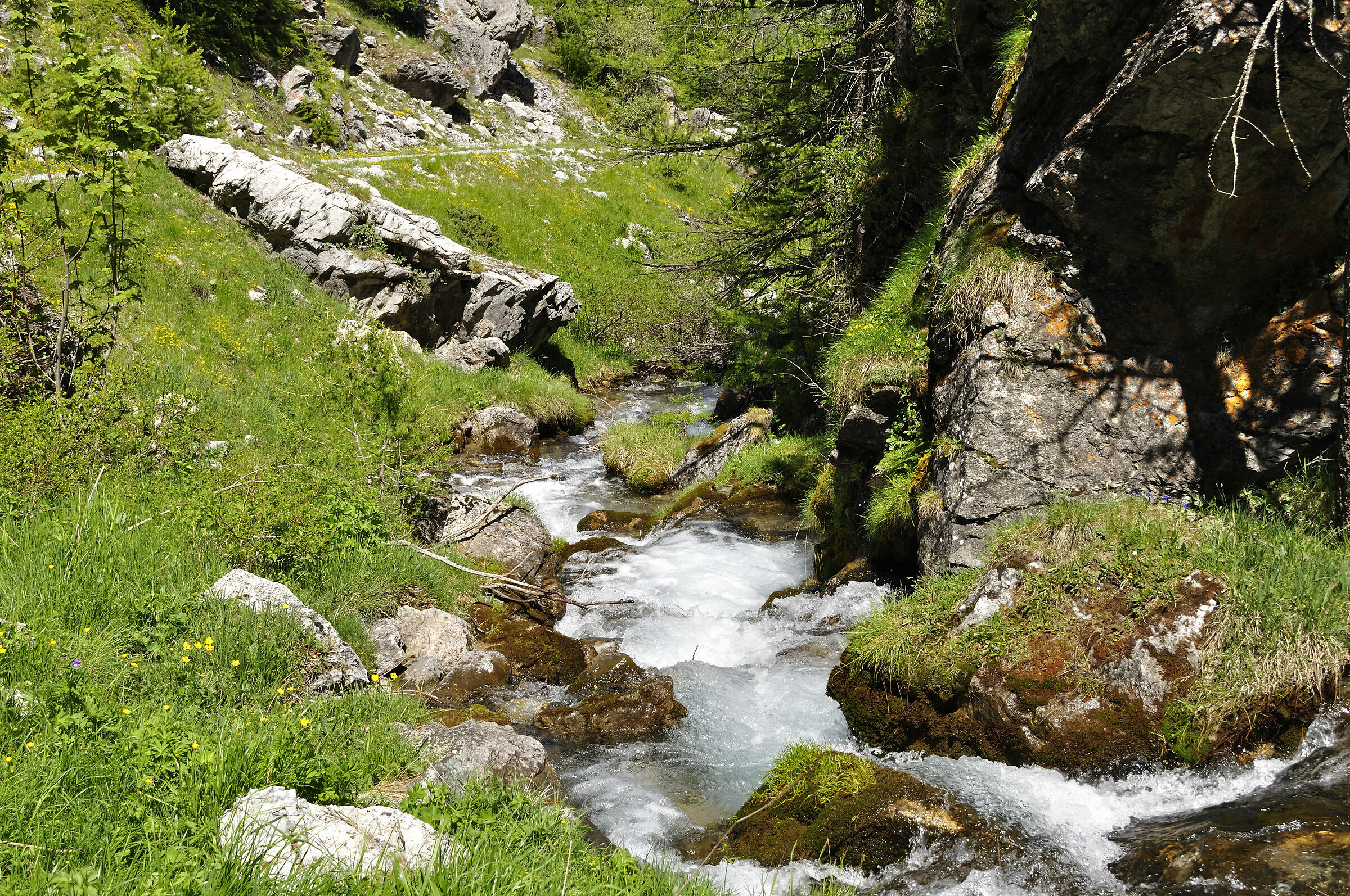 Salendo al colle della gardetta
