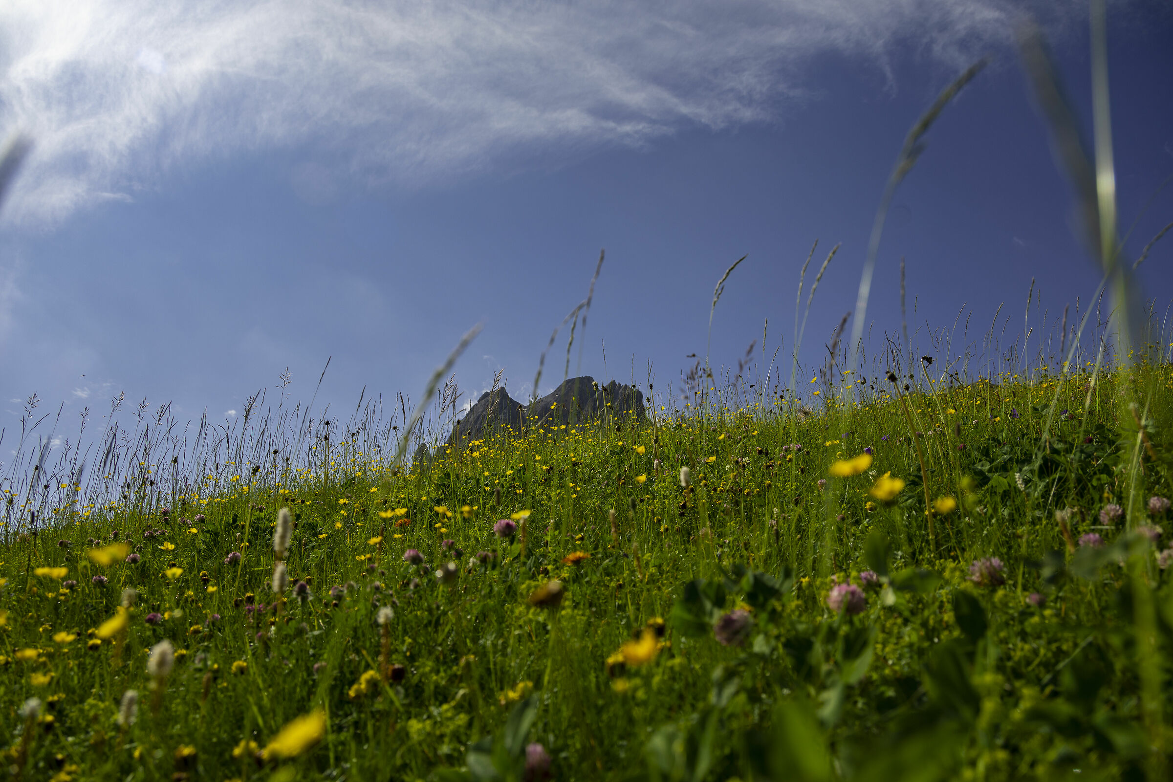 Paesaggi&prospettivE