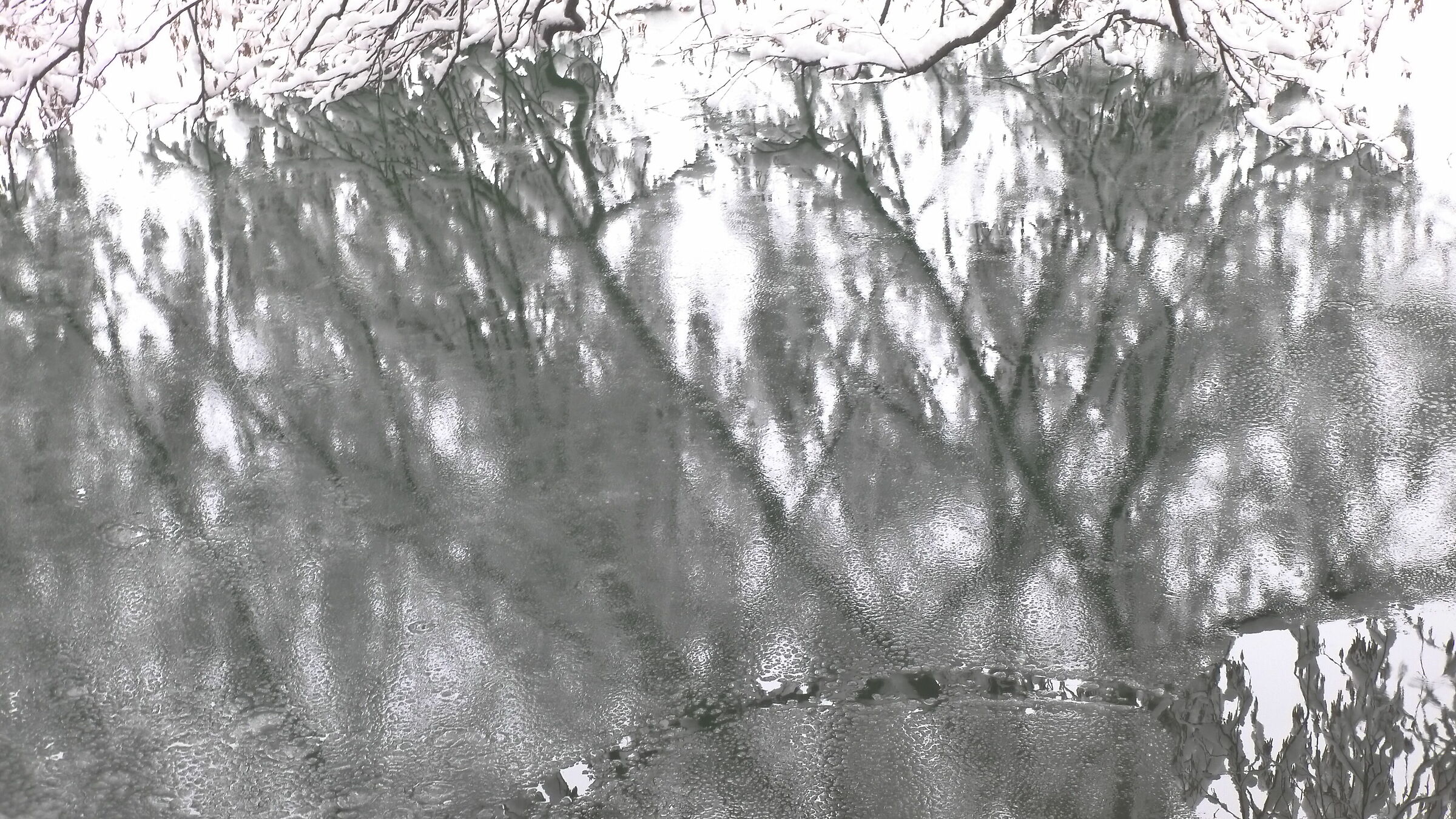 winter reflections