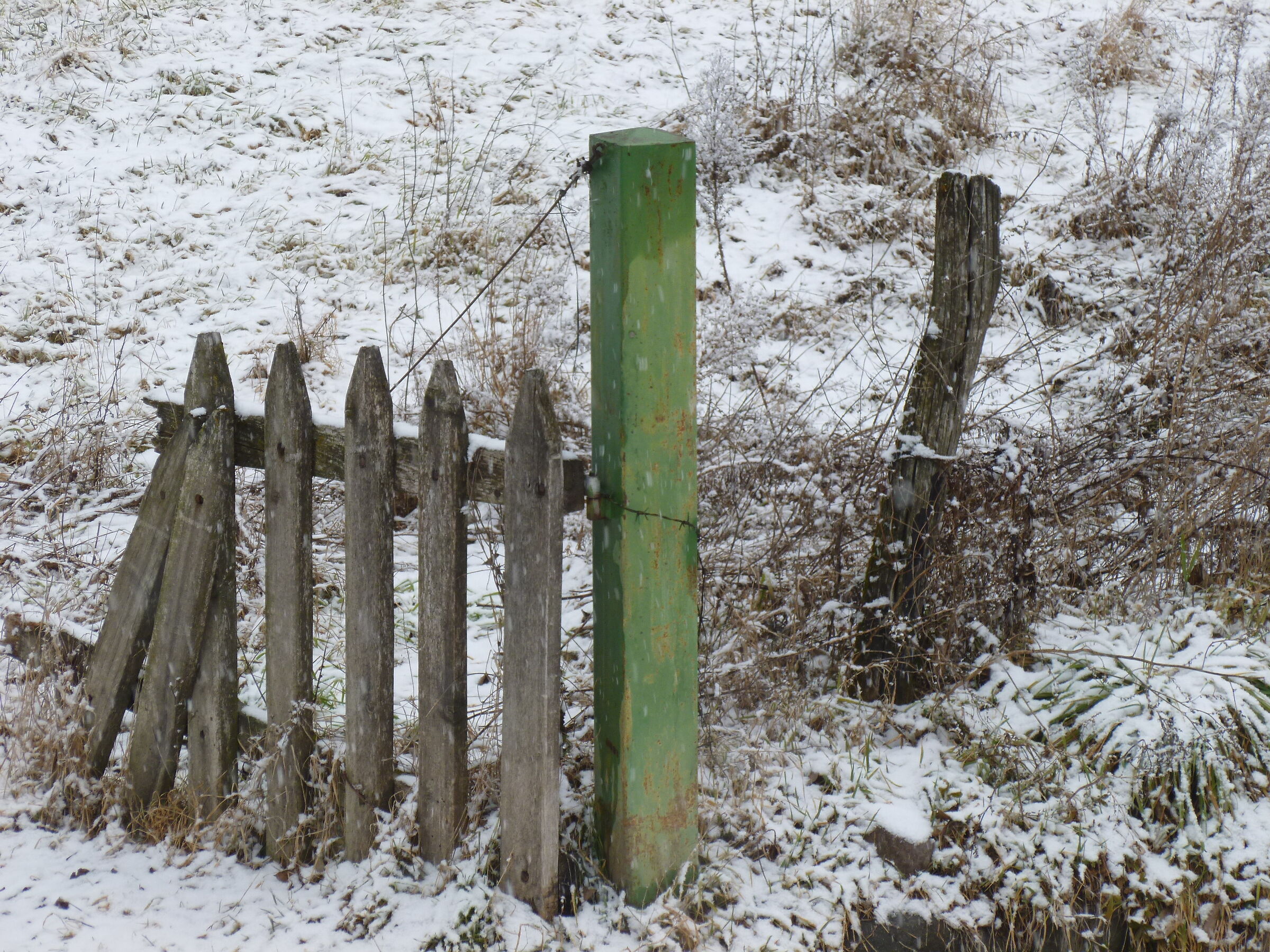 gate in winter