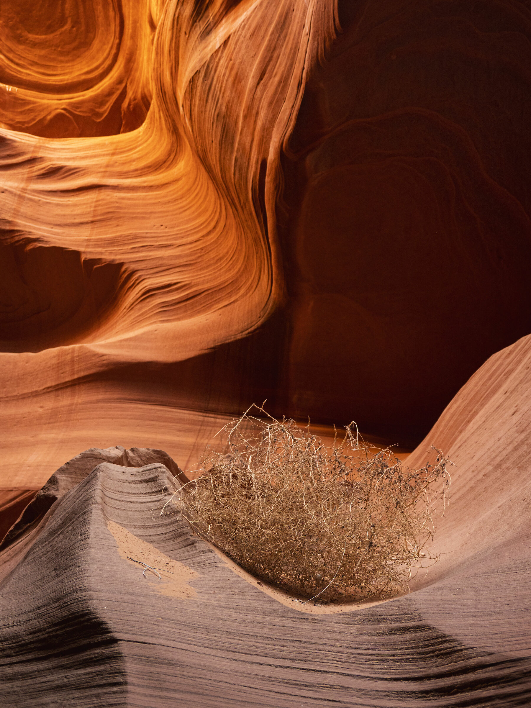 Antelope Canyon 4