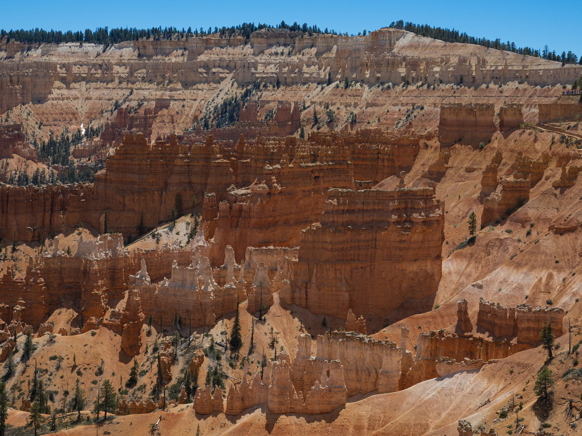 Bryce Canyon 2