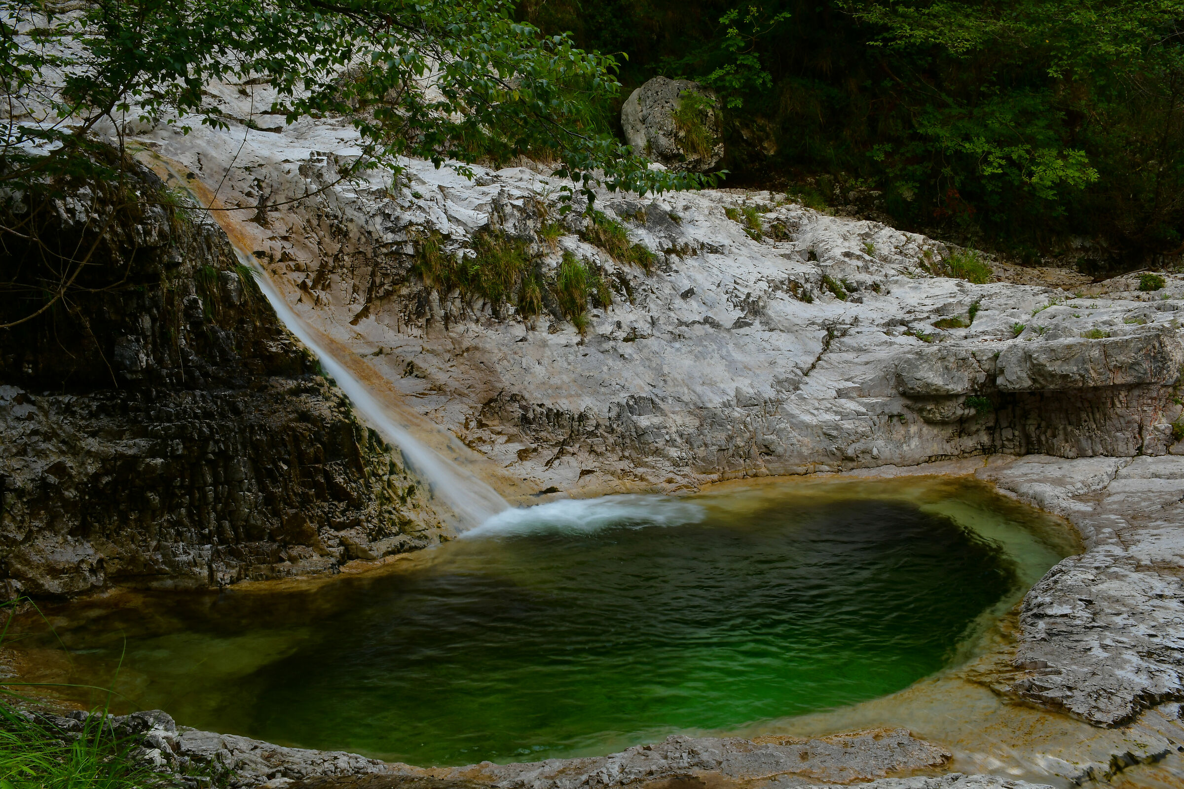 Brenton Cadini ( Mis-Belluno)
