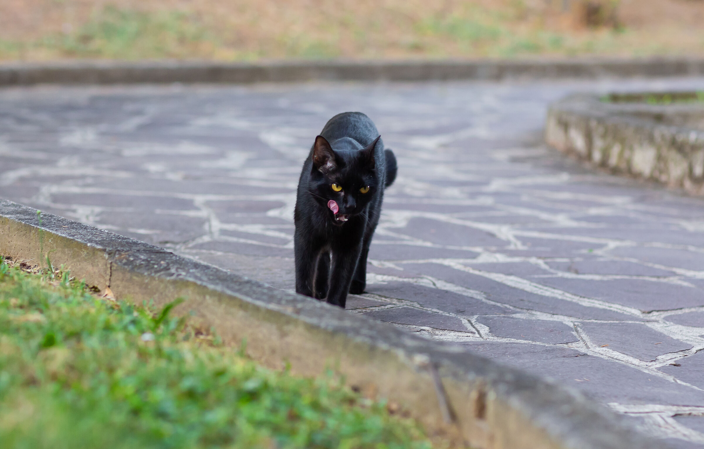 Now I better go and open a sachet.