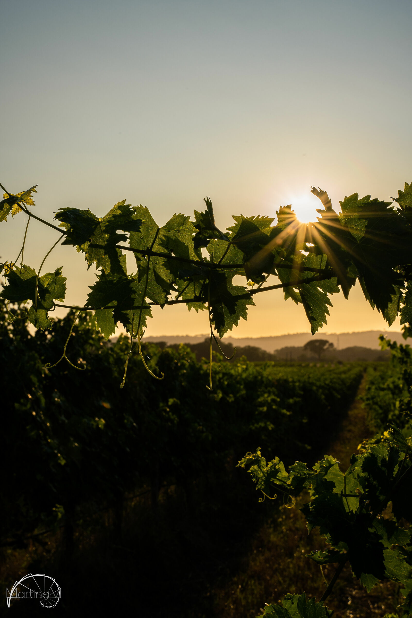 Due passi dietro casa in cerca d' "oro"