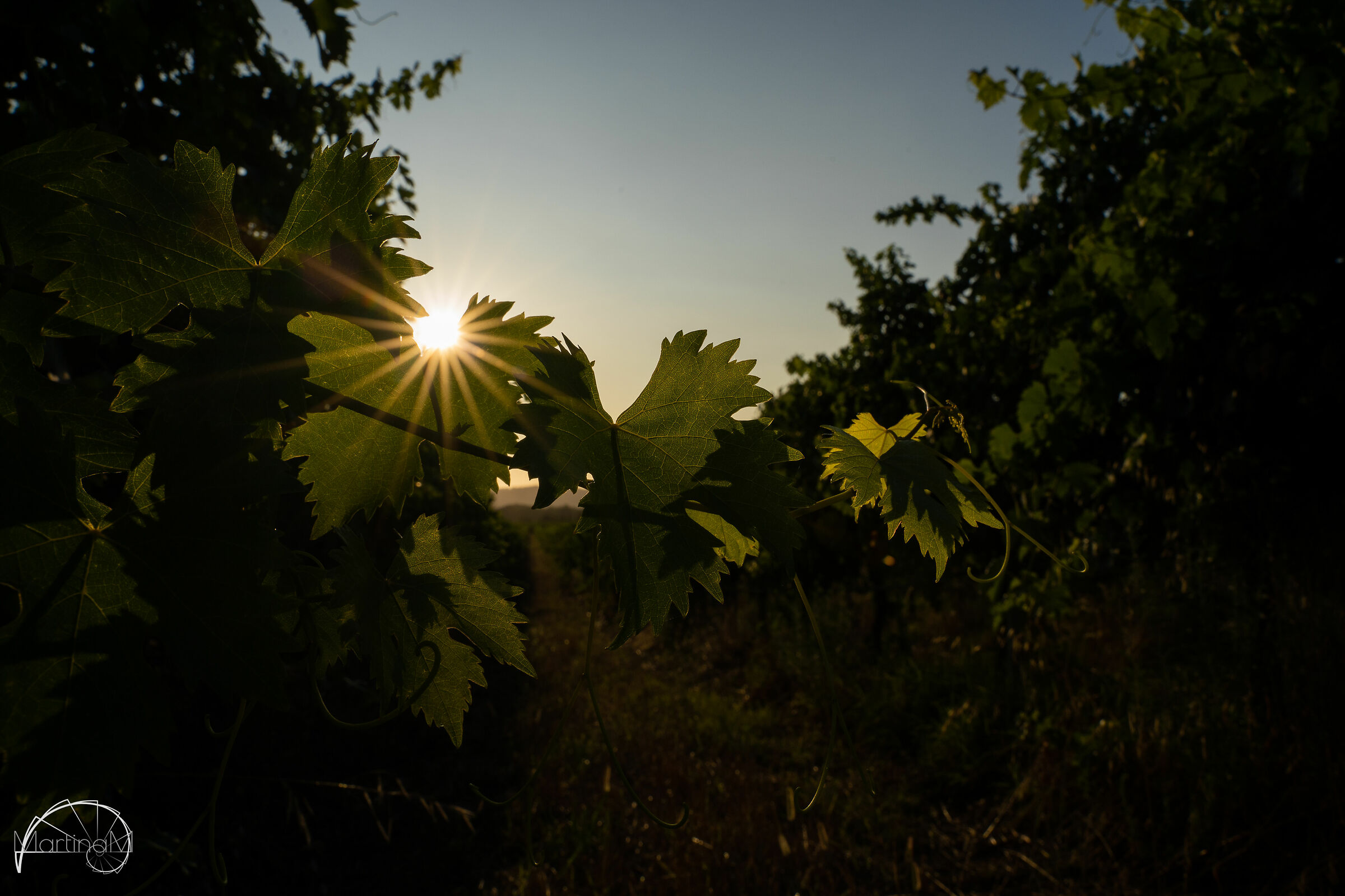 Due passi dietro casa in cerca d' "oro"