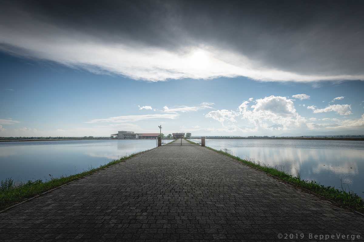Among the rice paddies