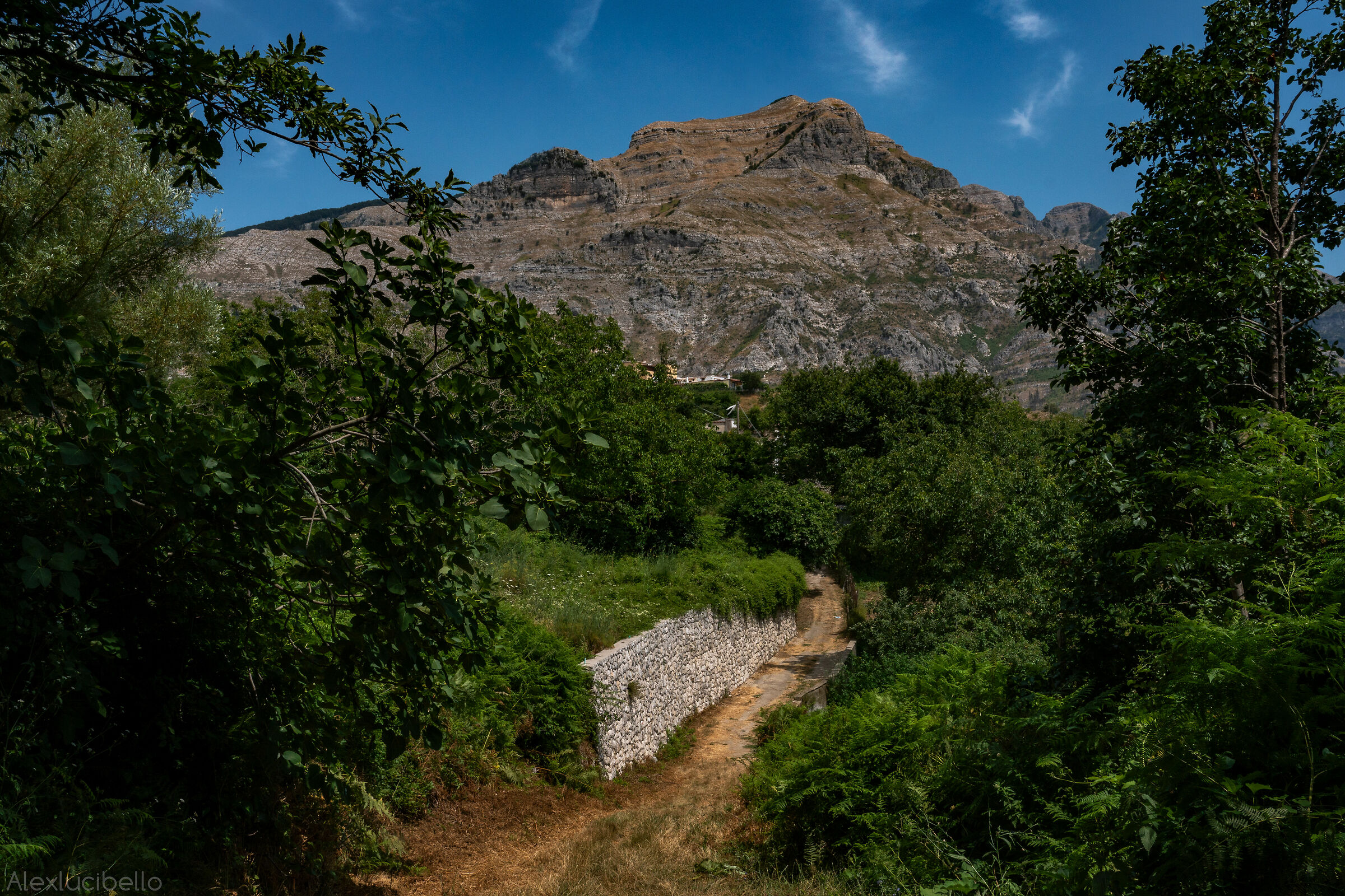 First Signs of Civilization