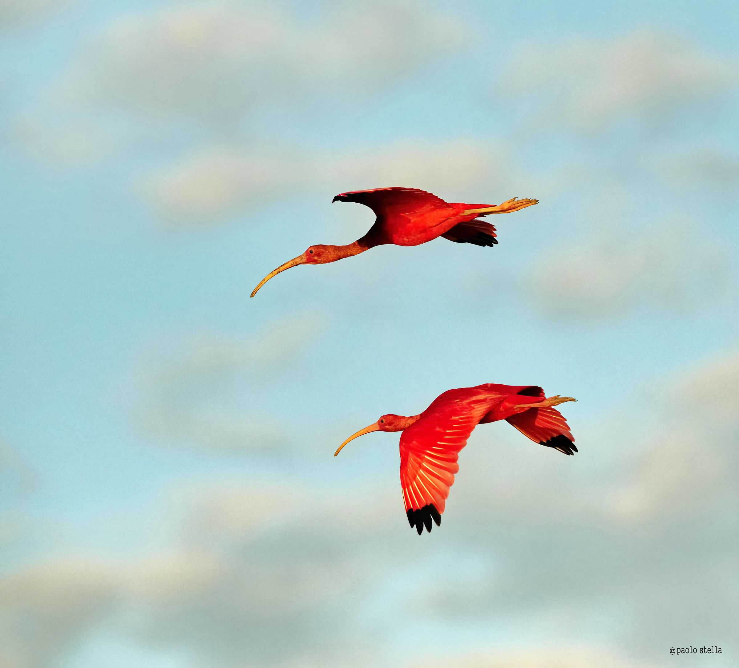 couple in flight