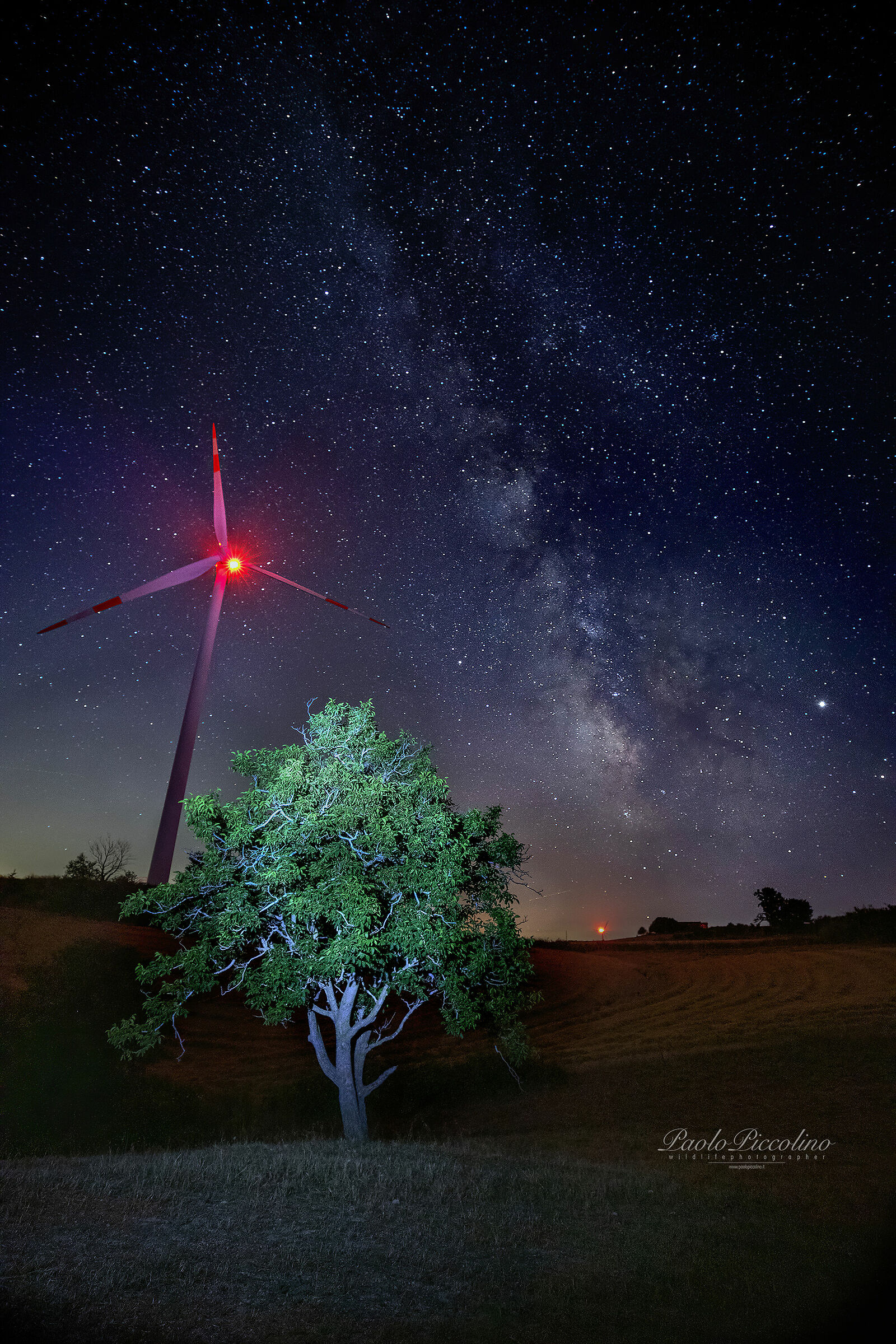 milky milky wind blades