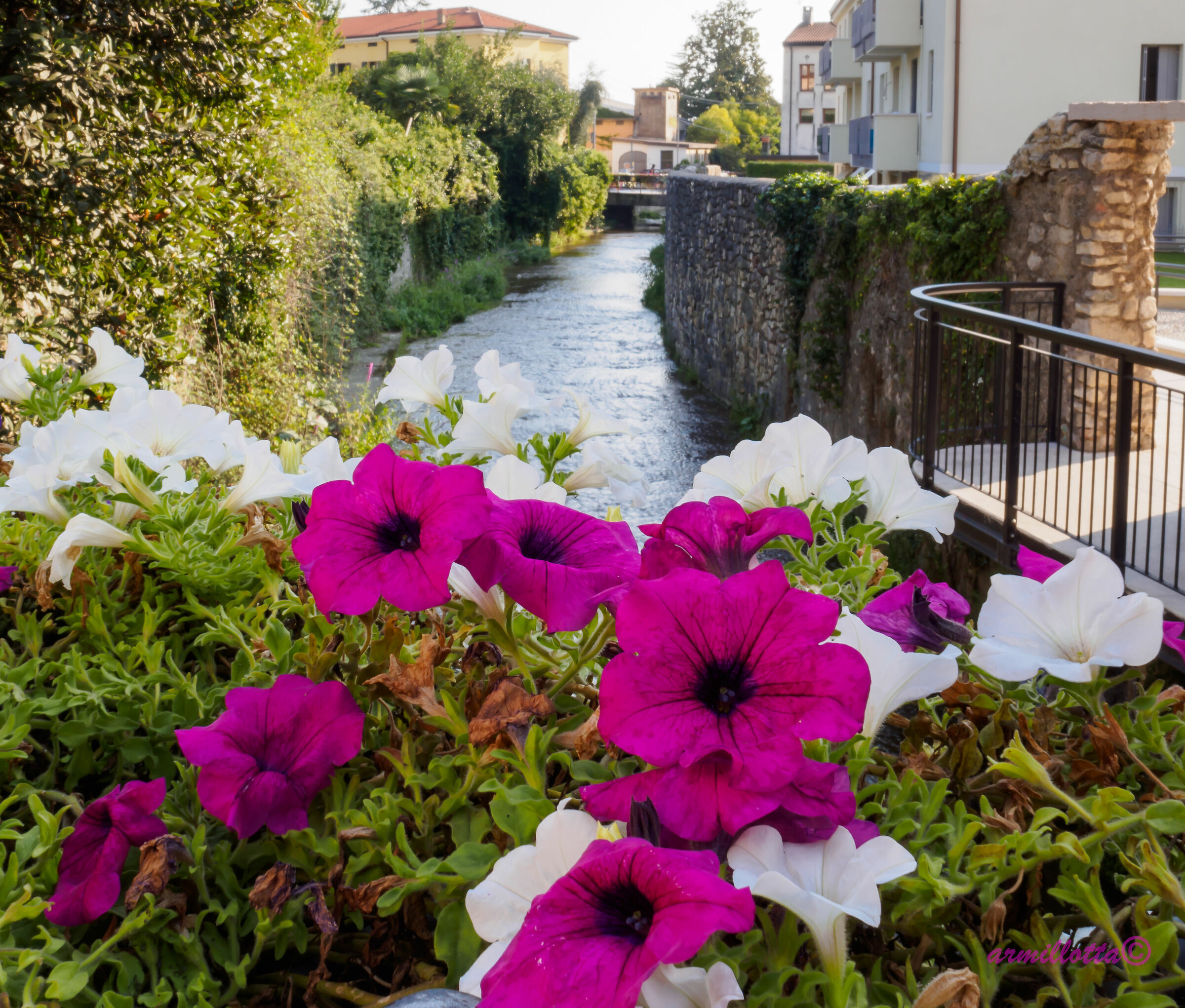 lake garda, glimpse