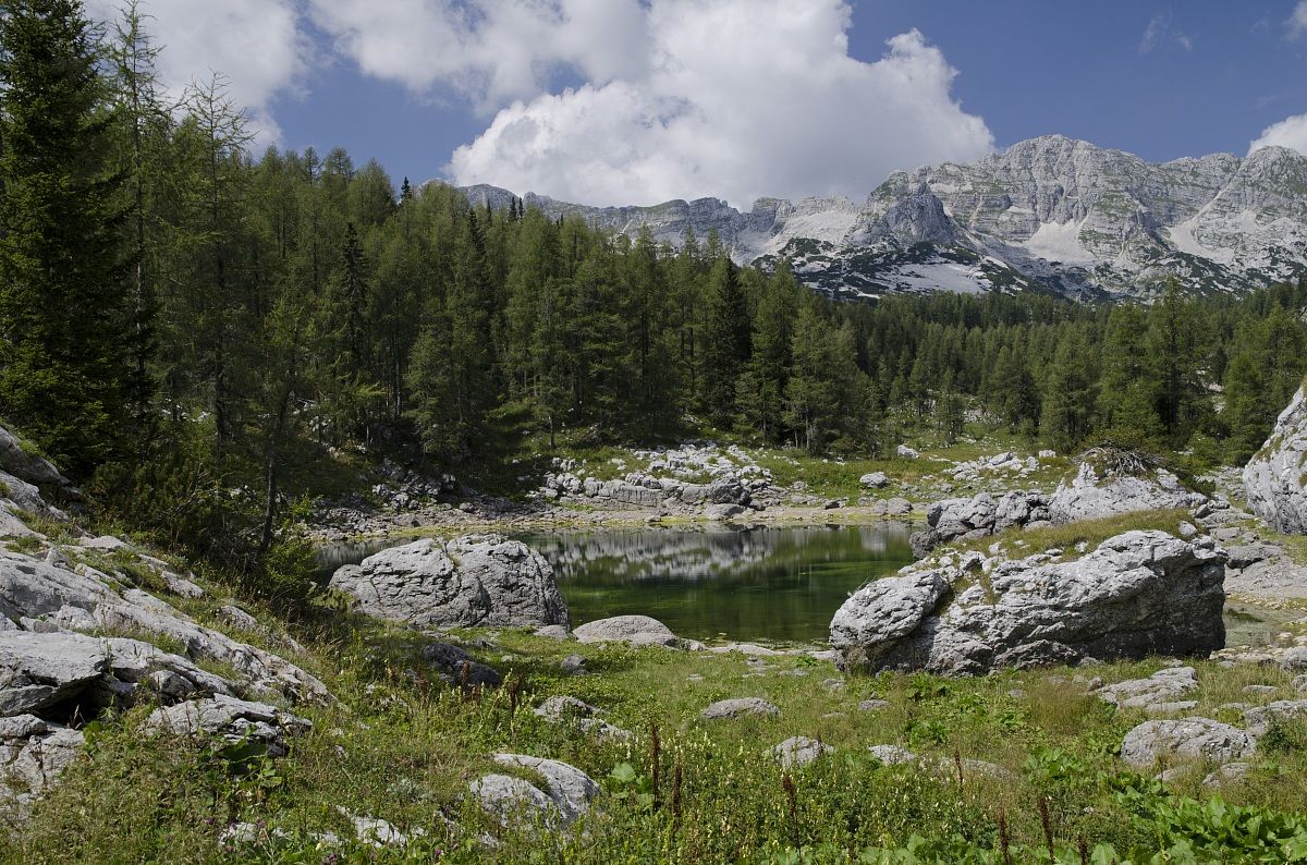 Camminando in Slovenia