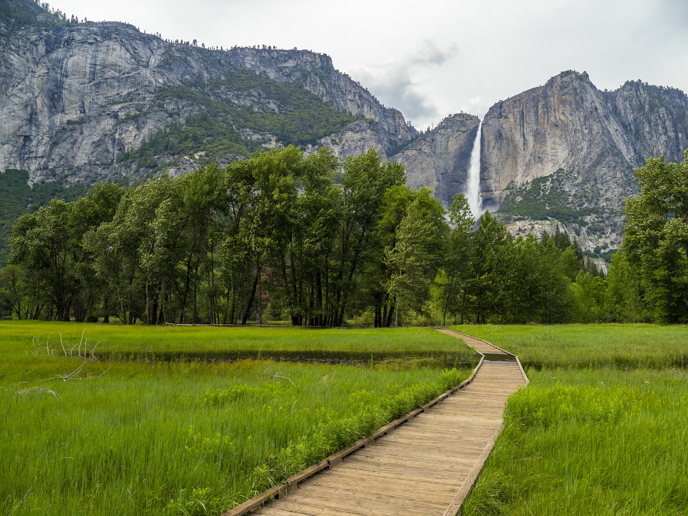 Yosemite National park 2