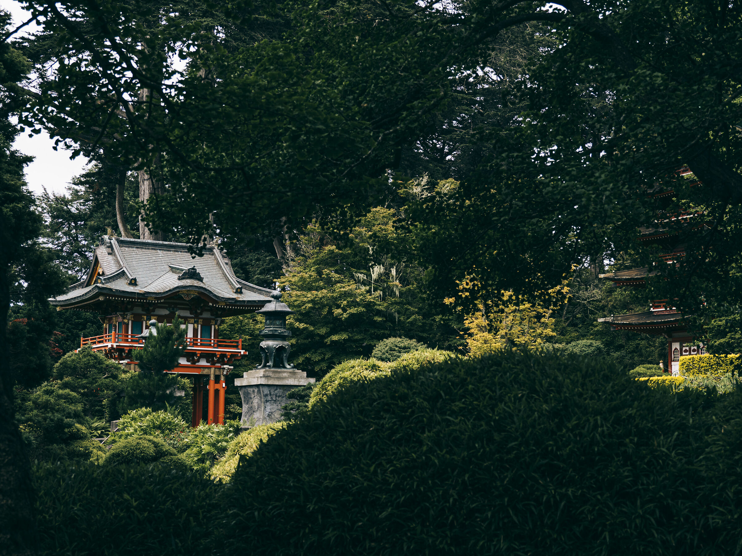 Japanese Tea Garden, San Francisco