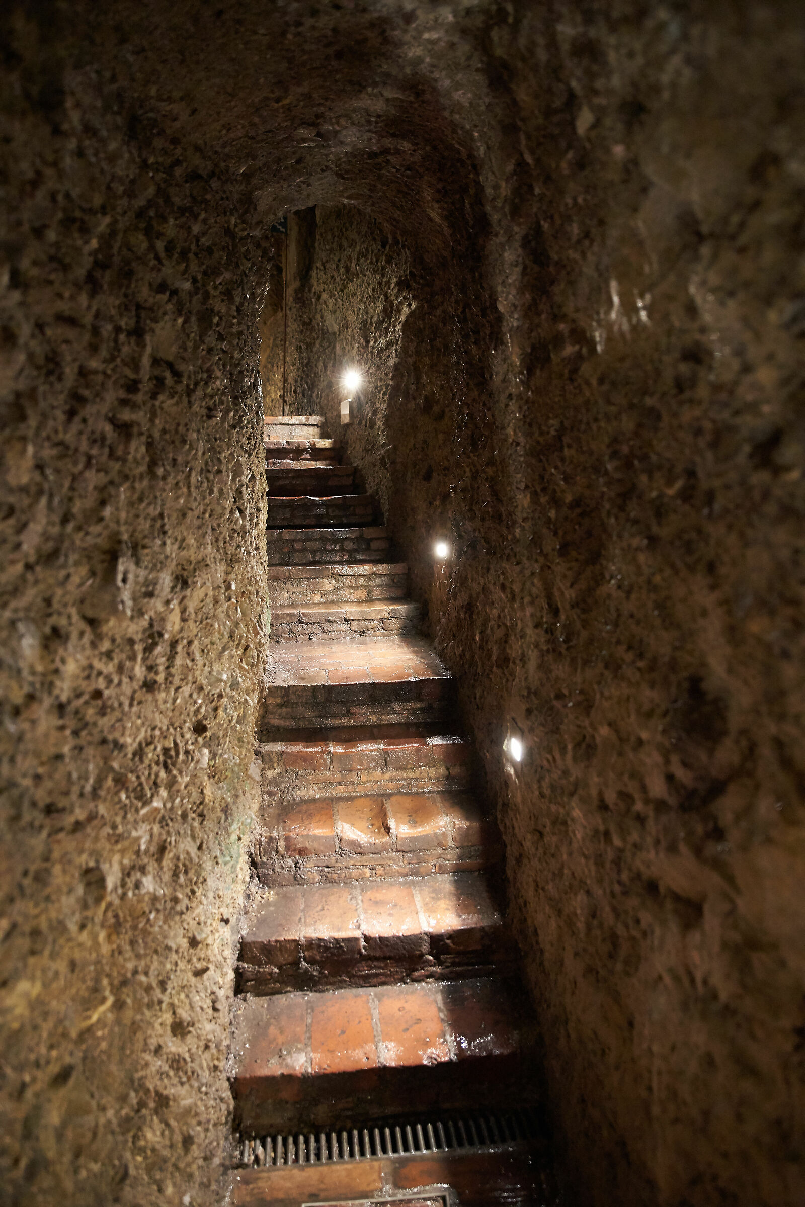 Si torna in superficie