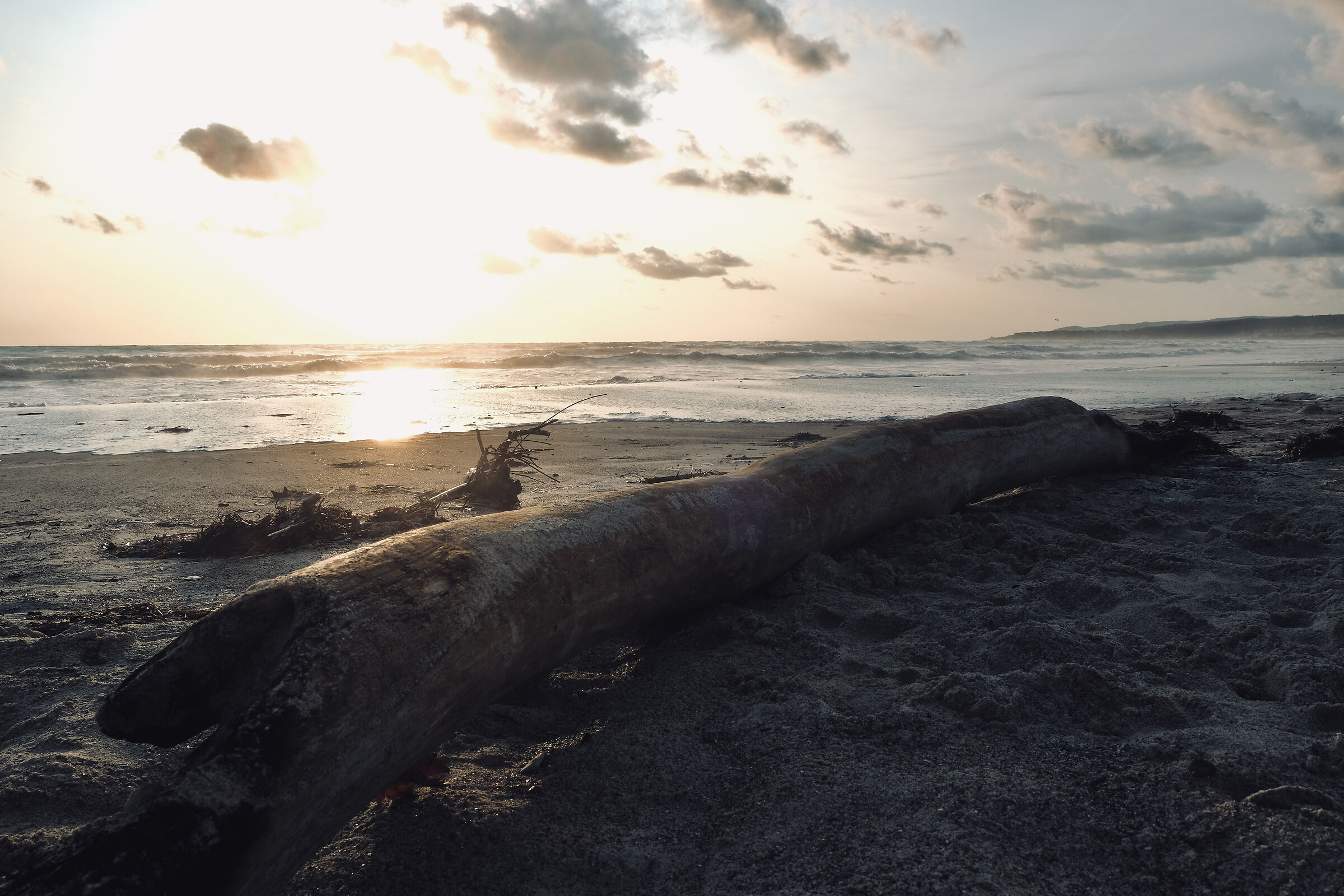 Un ramo...da solo. Basta.