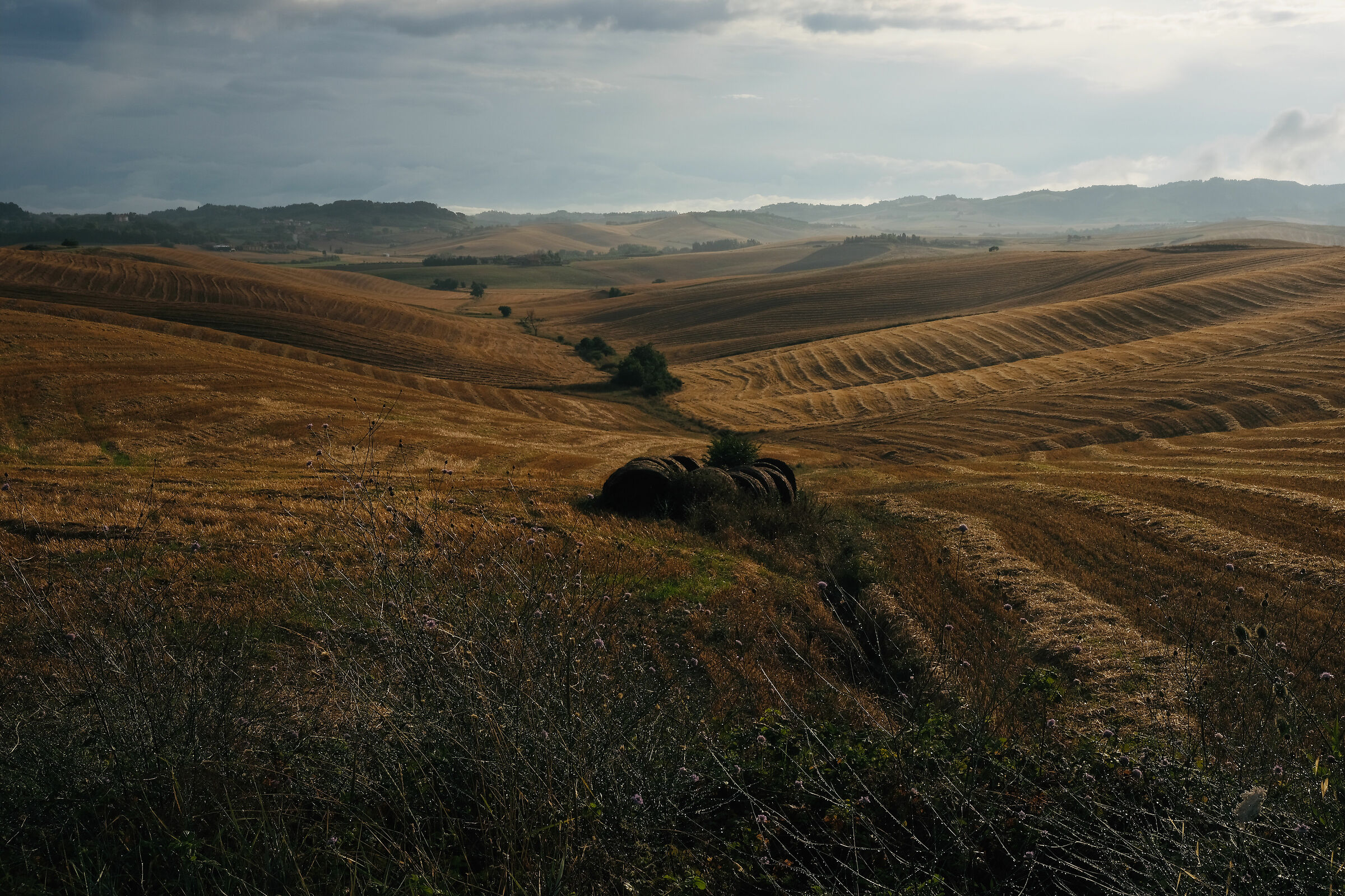 Bella visuale di Orciano Pisano dopo tribulazioni nel p
