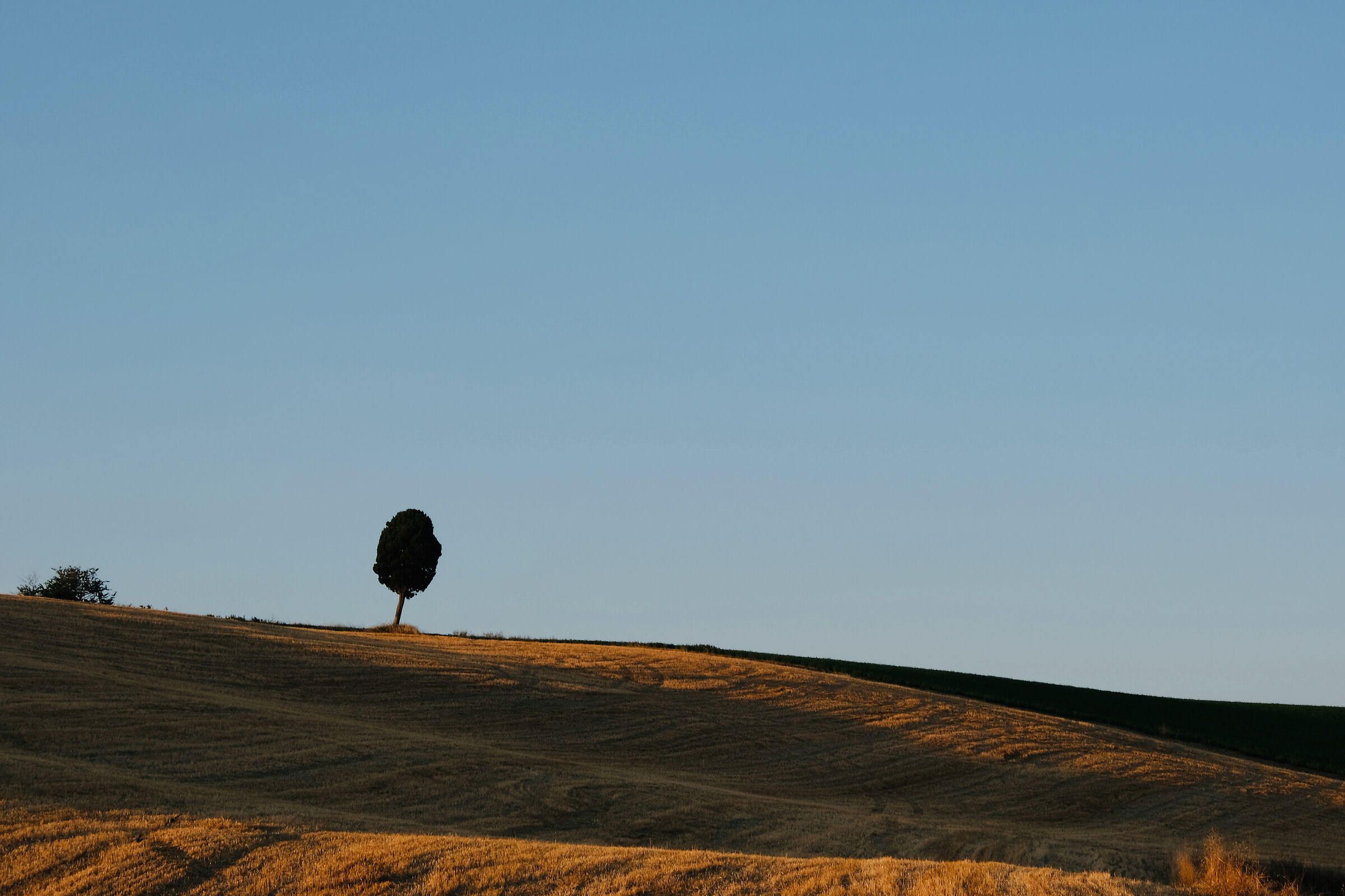 La solitudine della natura