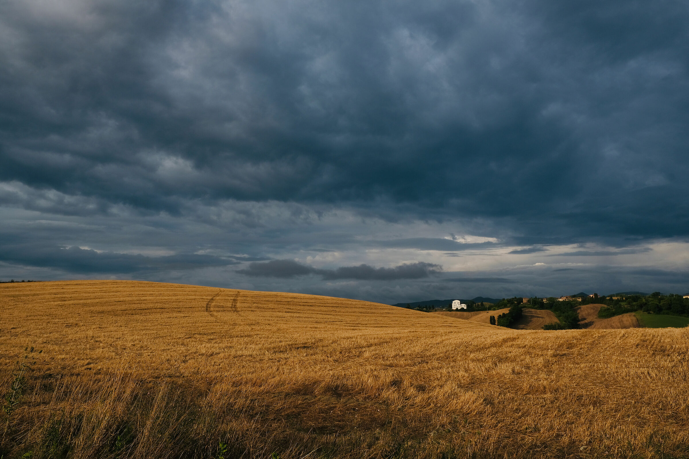 Ho dato le spalle al sole e mi sono ritrovato questo...