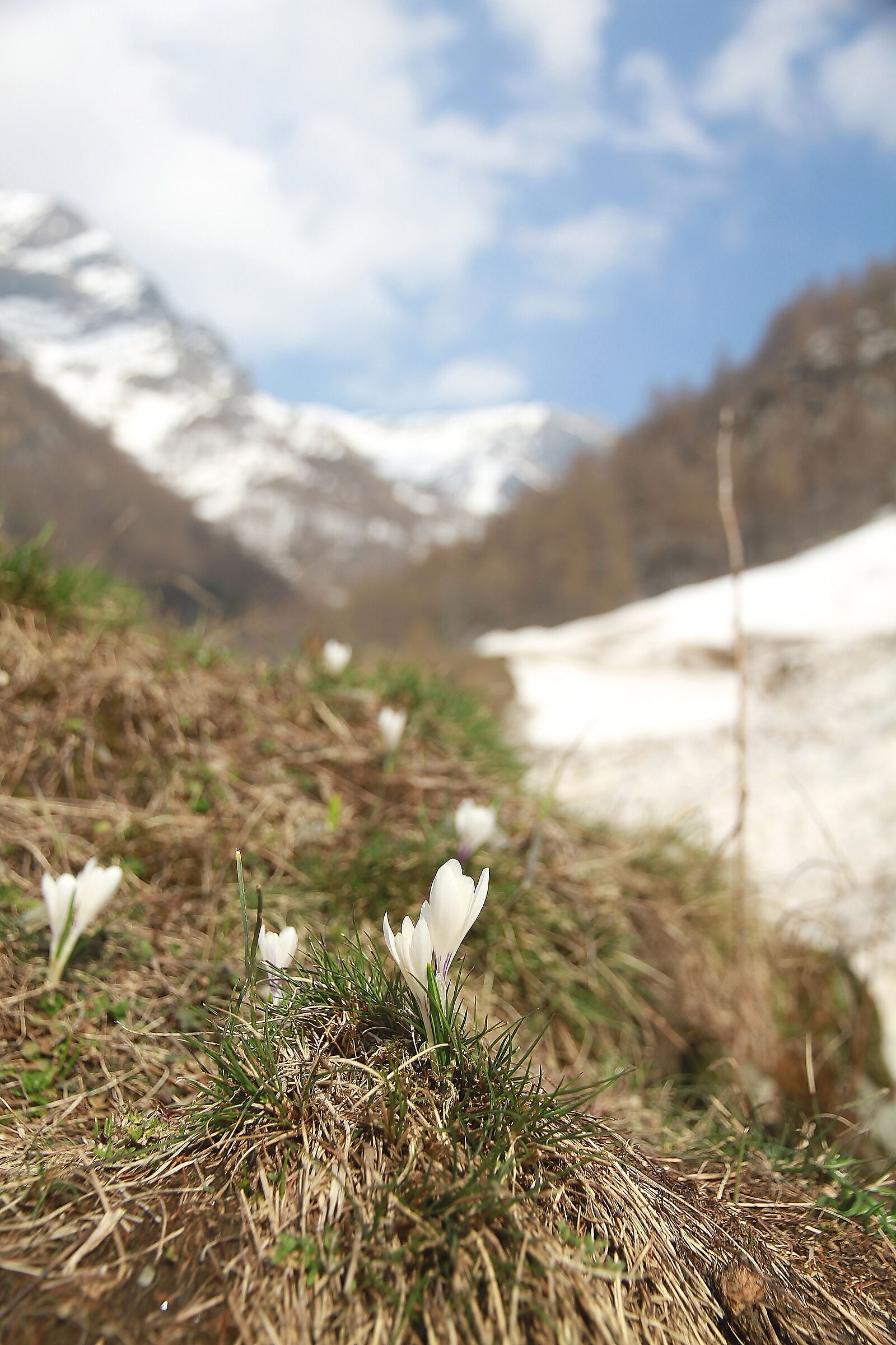 Il risveglio della natura..